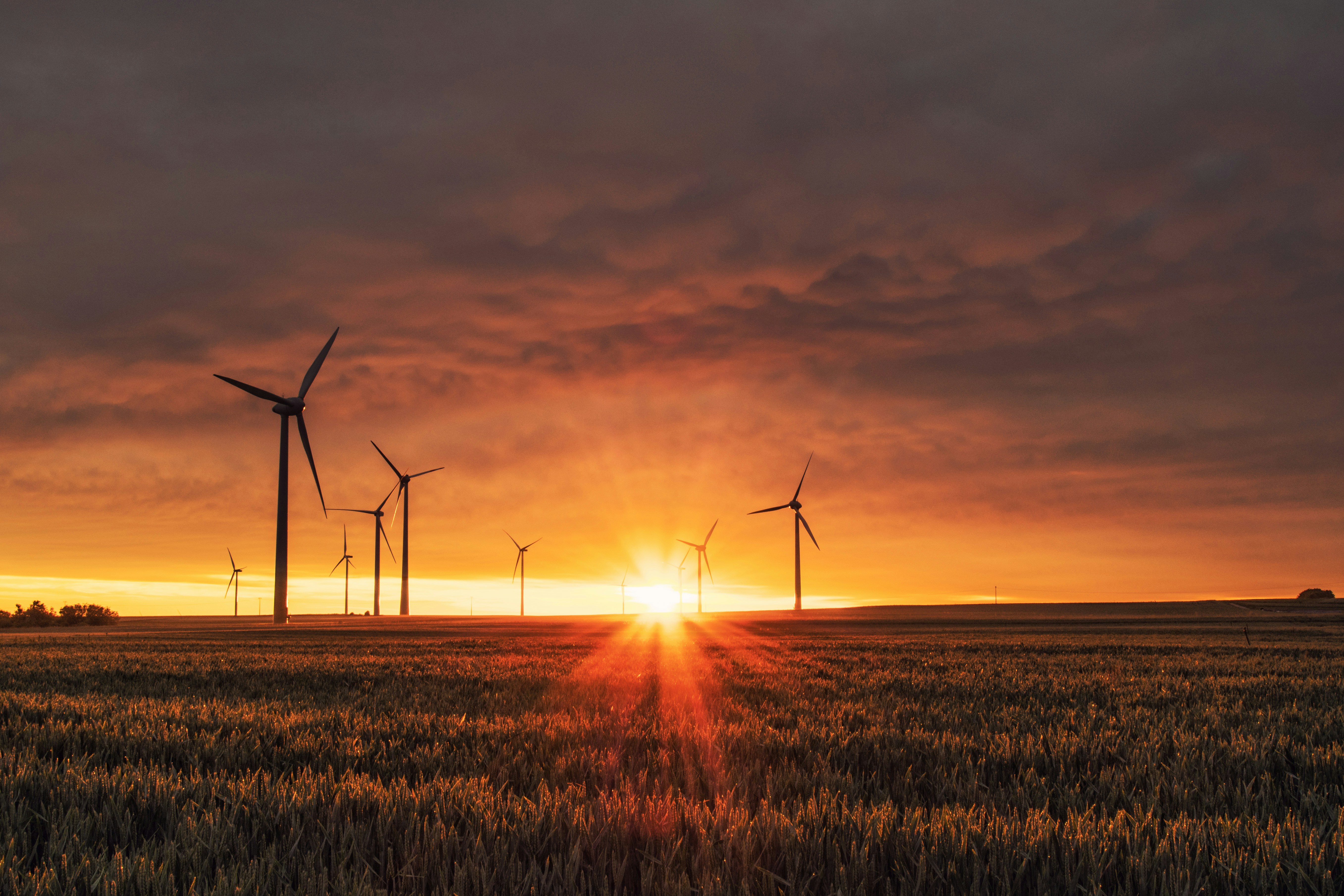 Harnessing the Elements: A Career in Wind and Solar Energy