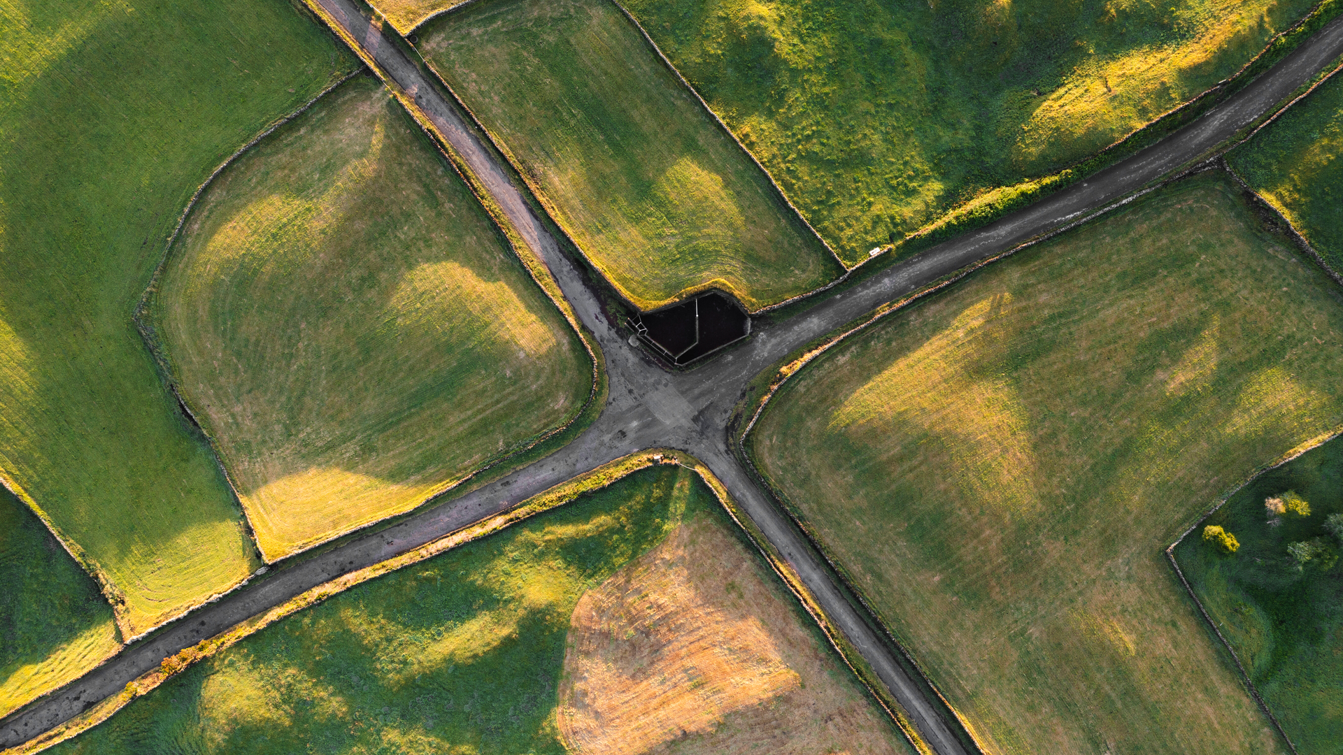Simulating the Future: En-ROADS and the Drive to Limit Global Warming