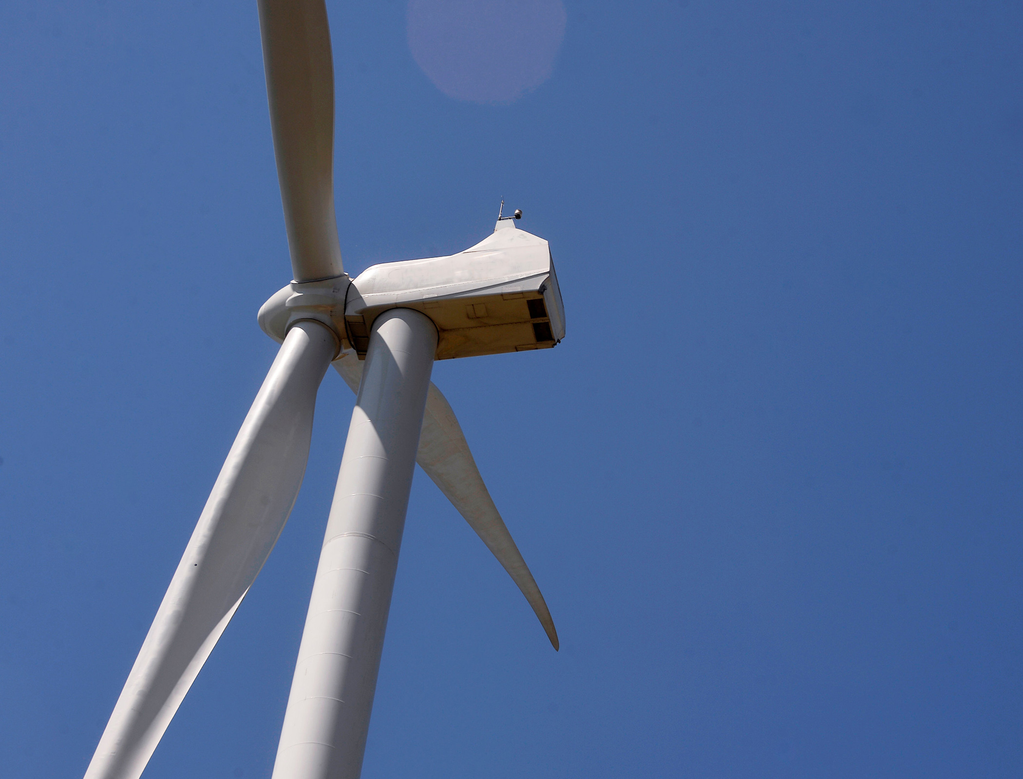 Government to reform wind sector in net-zero push