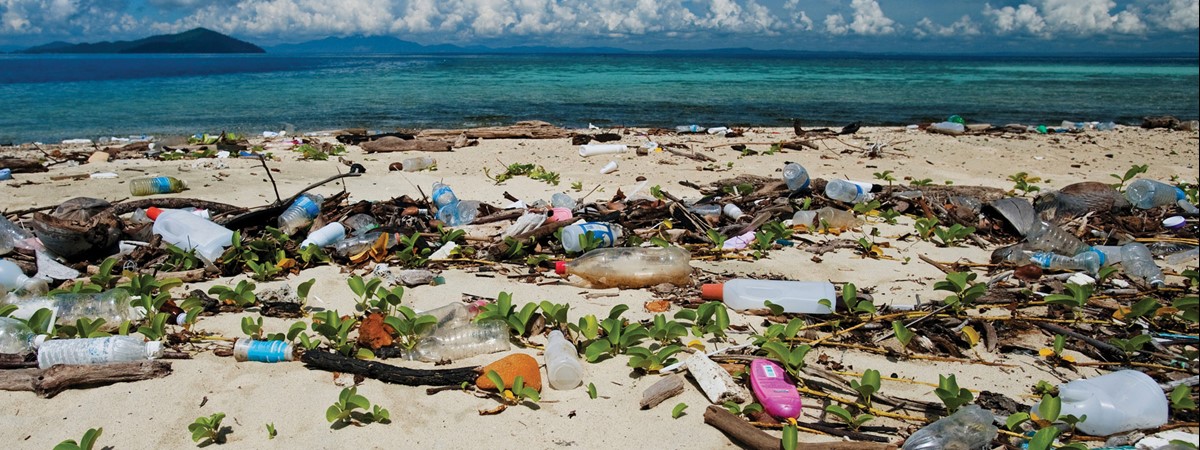 Global plastic emissions could be causing irreversible harm to the environment