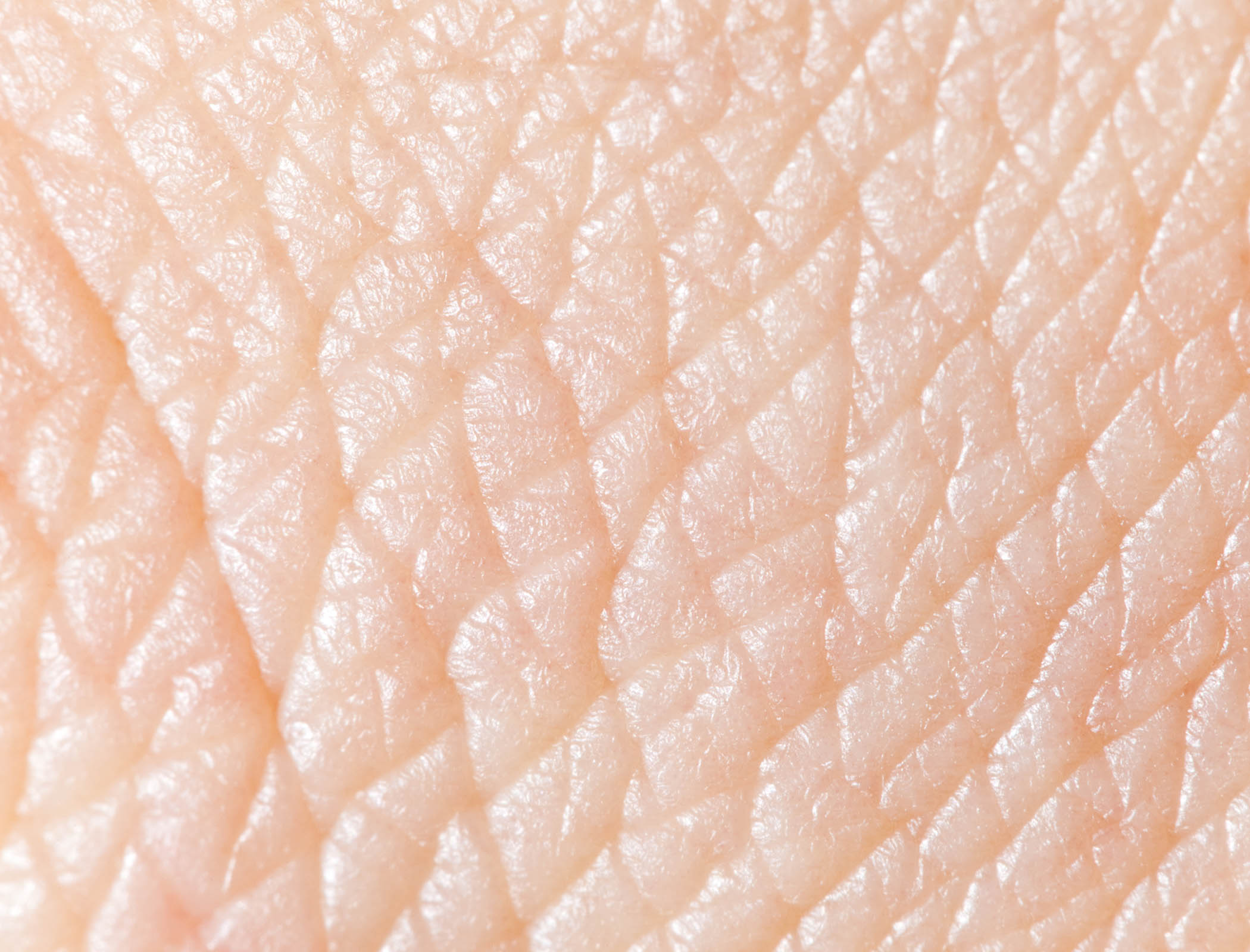 Artificial skin could sense objects without touching them