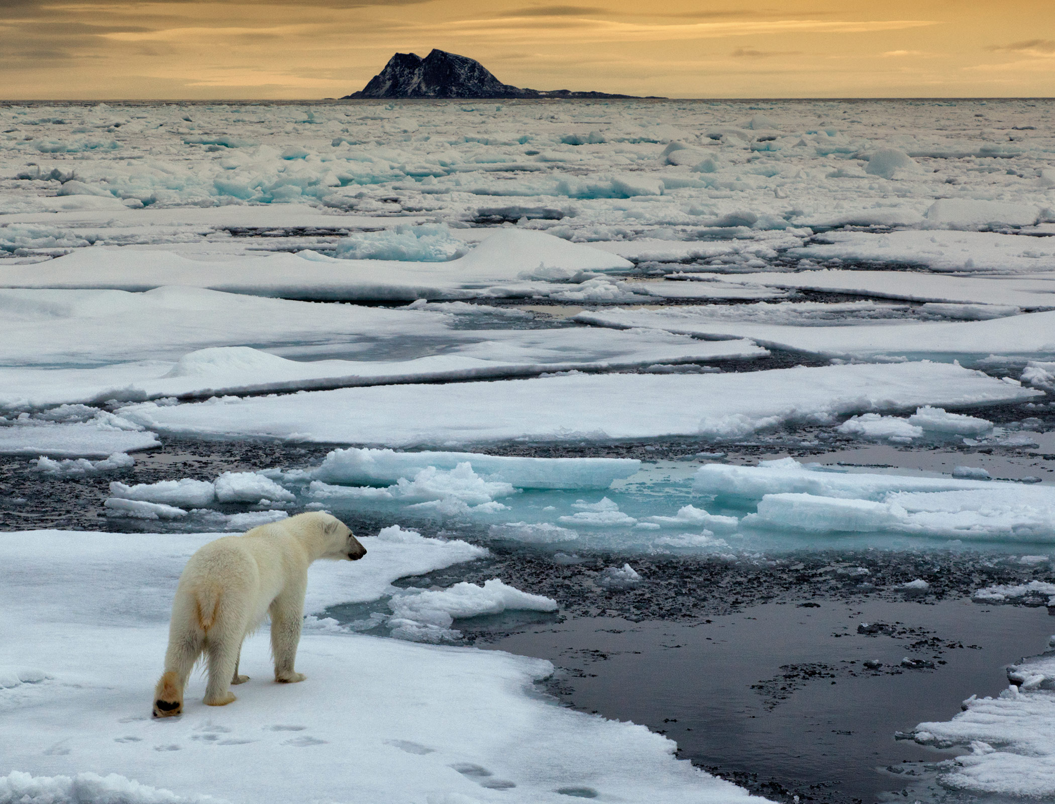 Five countries’ carbon emissions caused $6tn in global losses, study finds