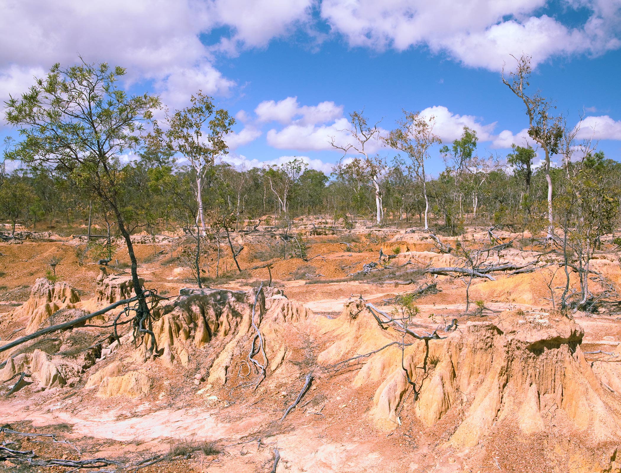 Climate justice could be paid with wealth taxes and fossil fuel levies, charity says