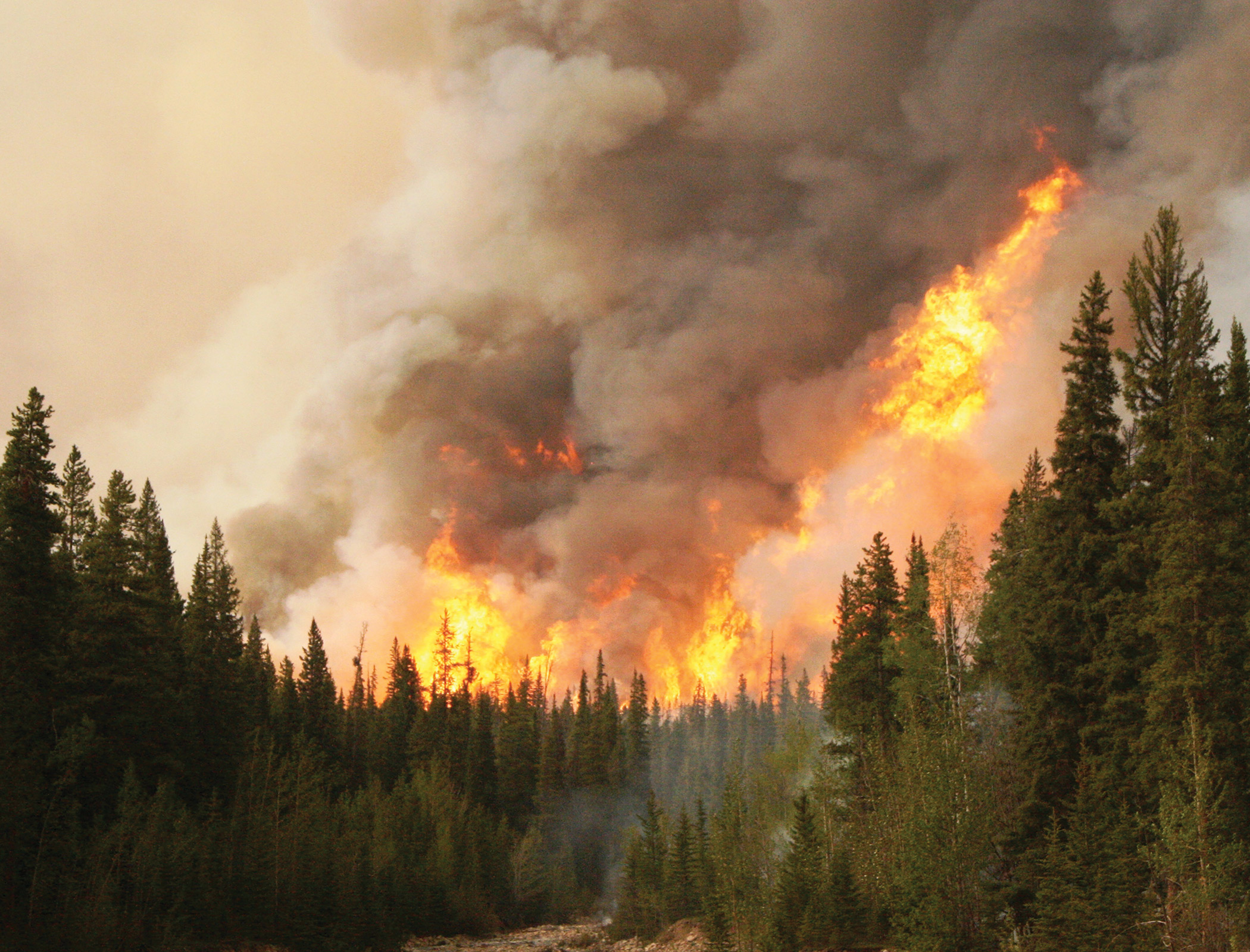 Smoke from Canadian wildfires forecast to reach Norway
