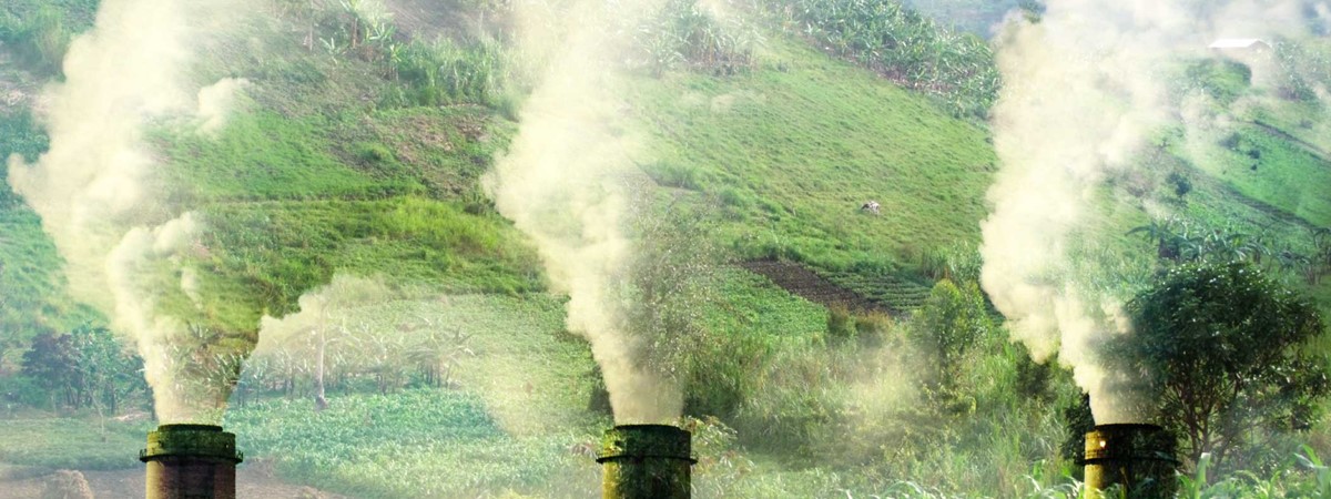 Climate injustice: how a biocarbon fund failed Uganda's tree planters