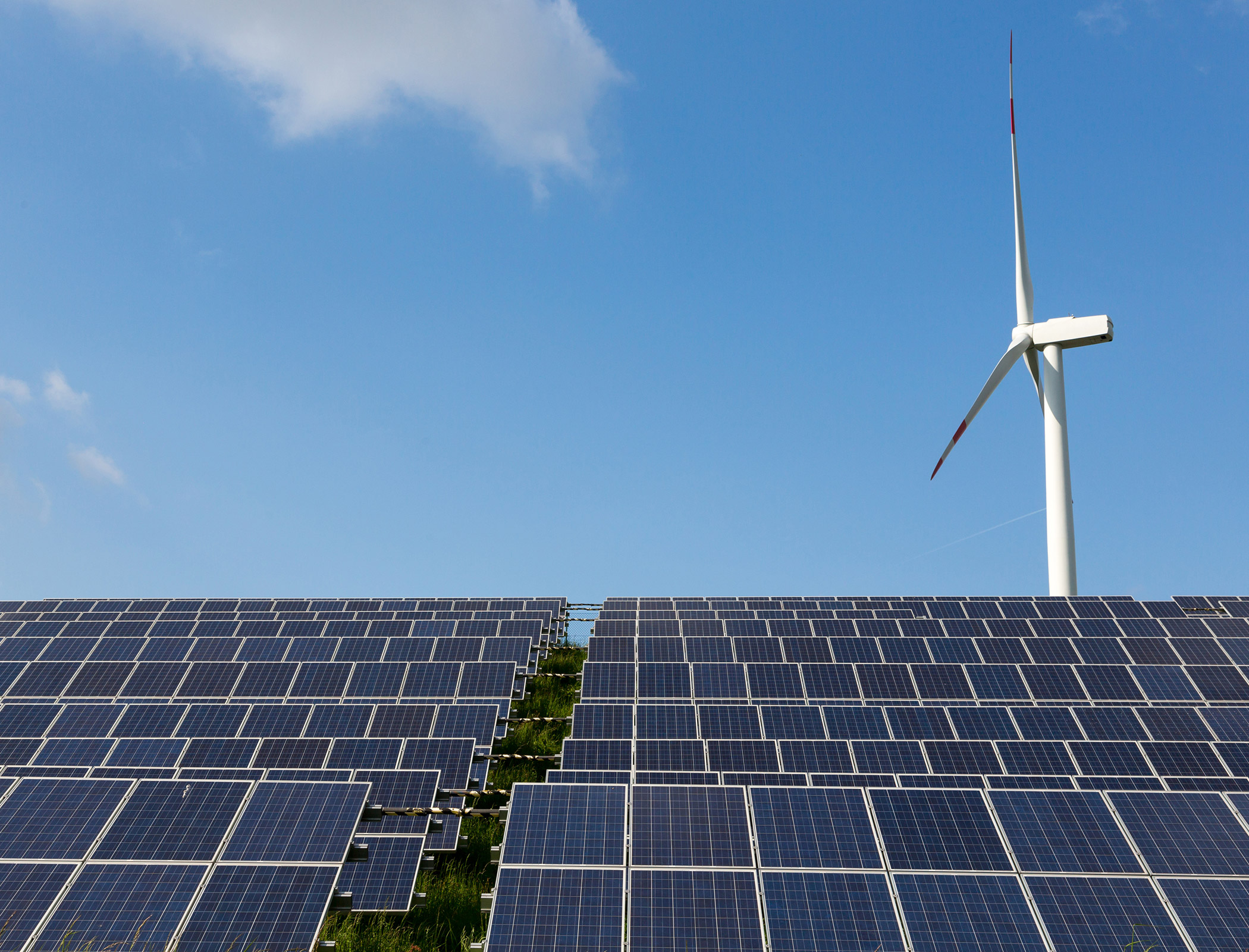 No long-term plan for decarbonising UK power sector risks 2035 goal, warns NAO
