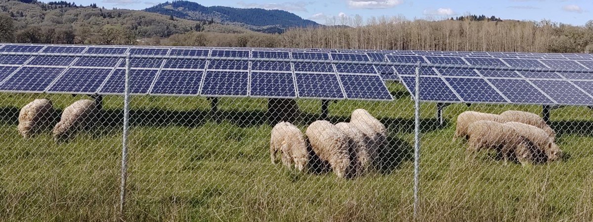 Paris Agreement action could boost energy jobs by eight million