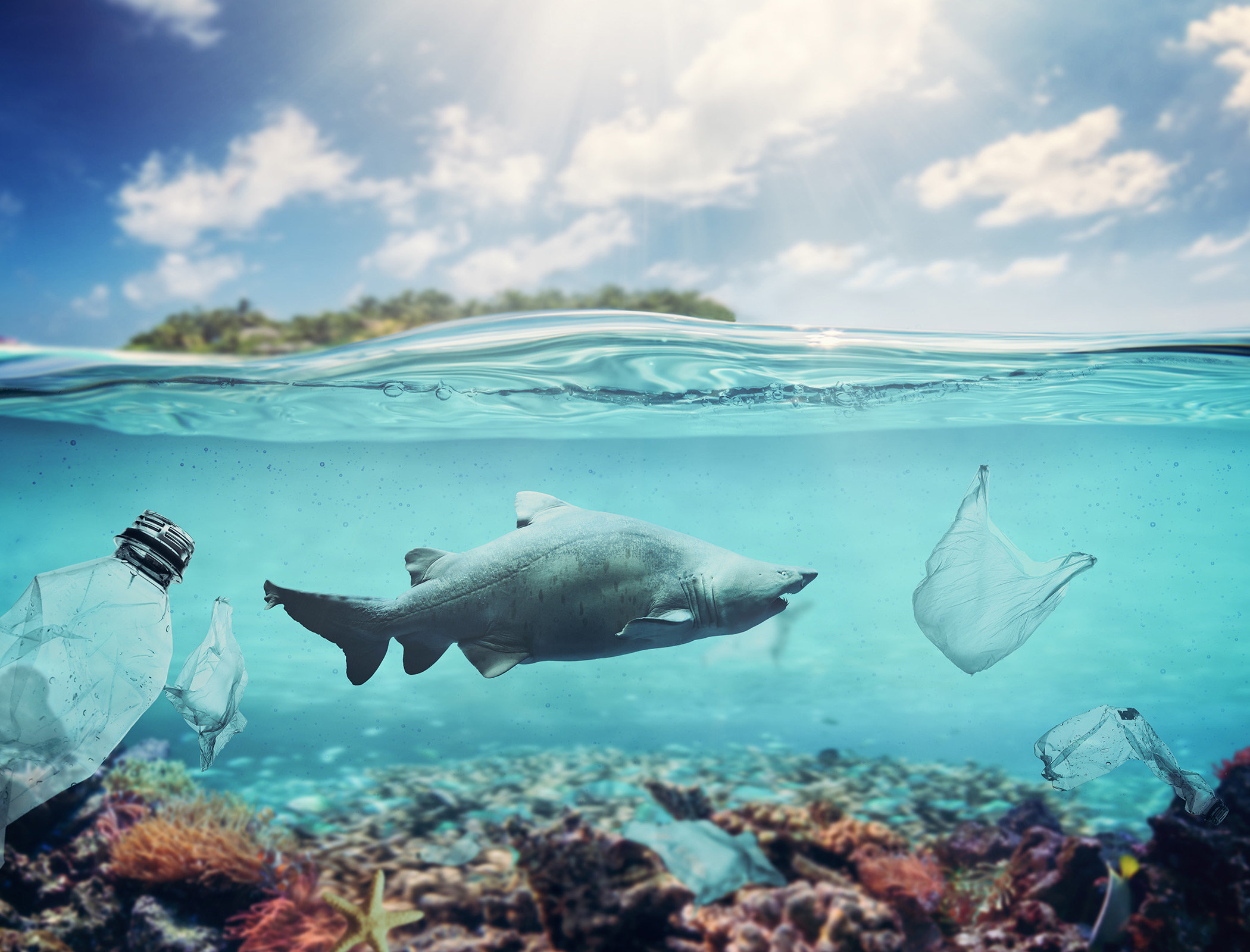 UN members sign ‘historic’ agreement to protect the world’s oceans