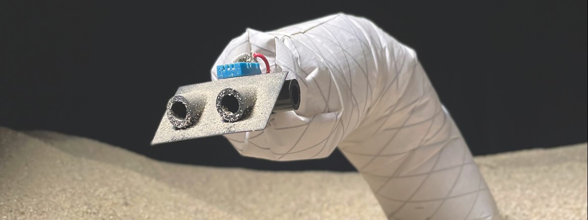 The bigger picture: Burrowing robot
