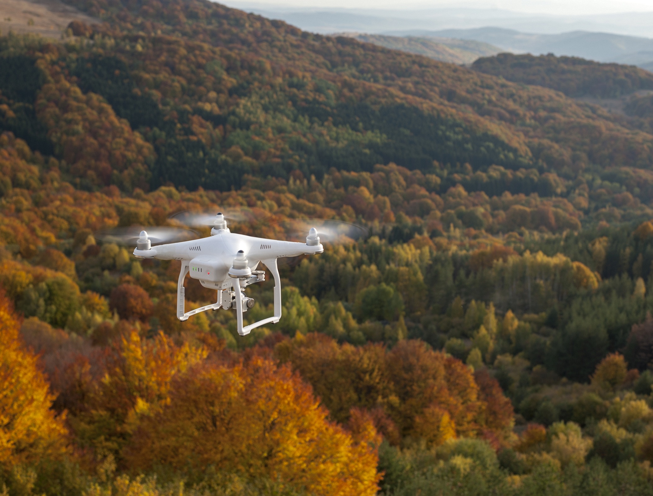 Scientists warn against using drone footage for environment monitoring