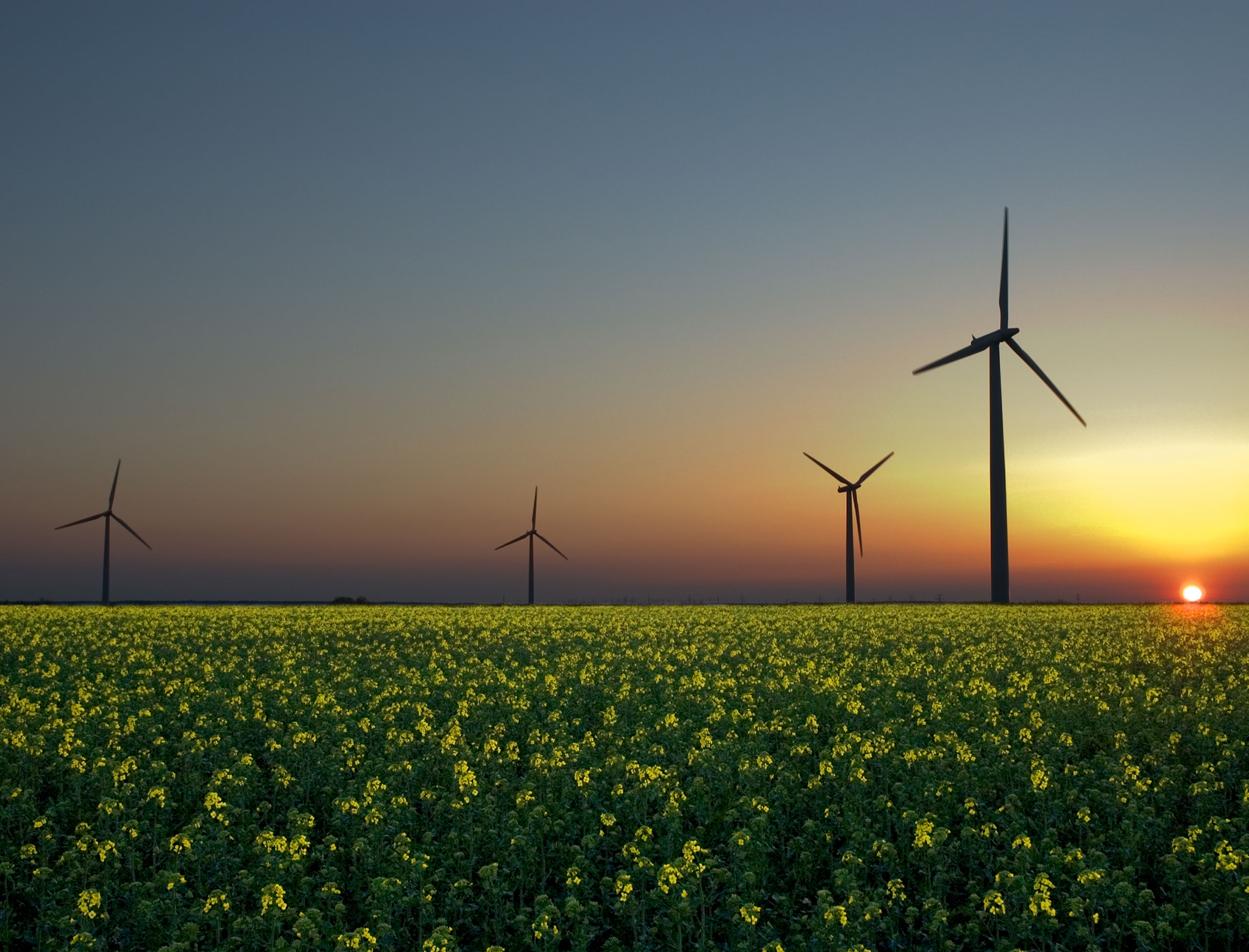 US generated more energy from renewables than coal for the first time in 2022