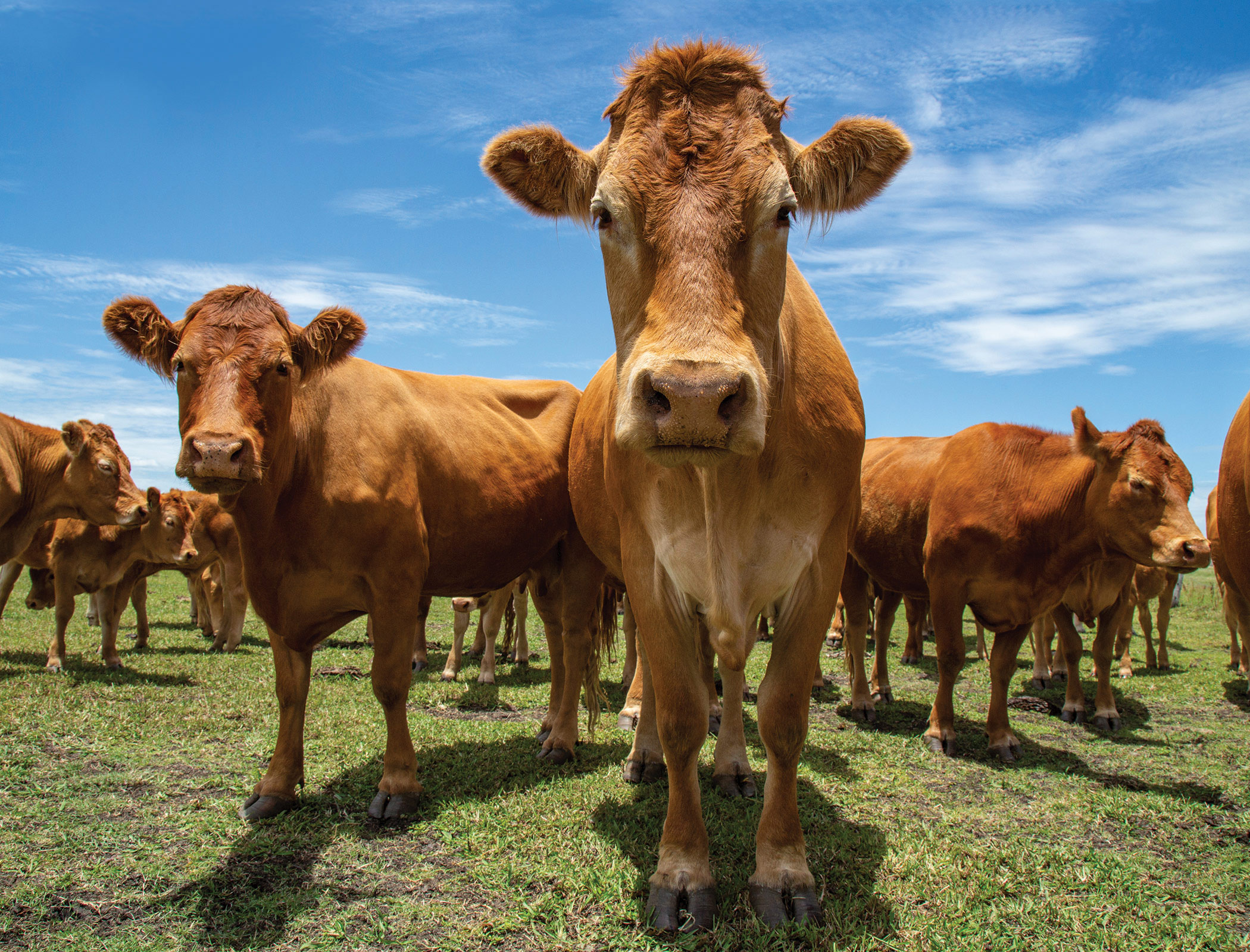 Cutting-edge farming projects to get share of £30m