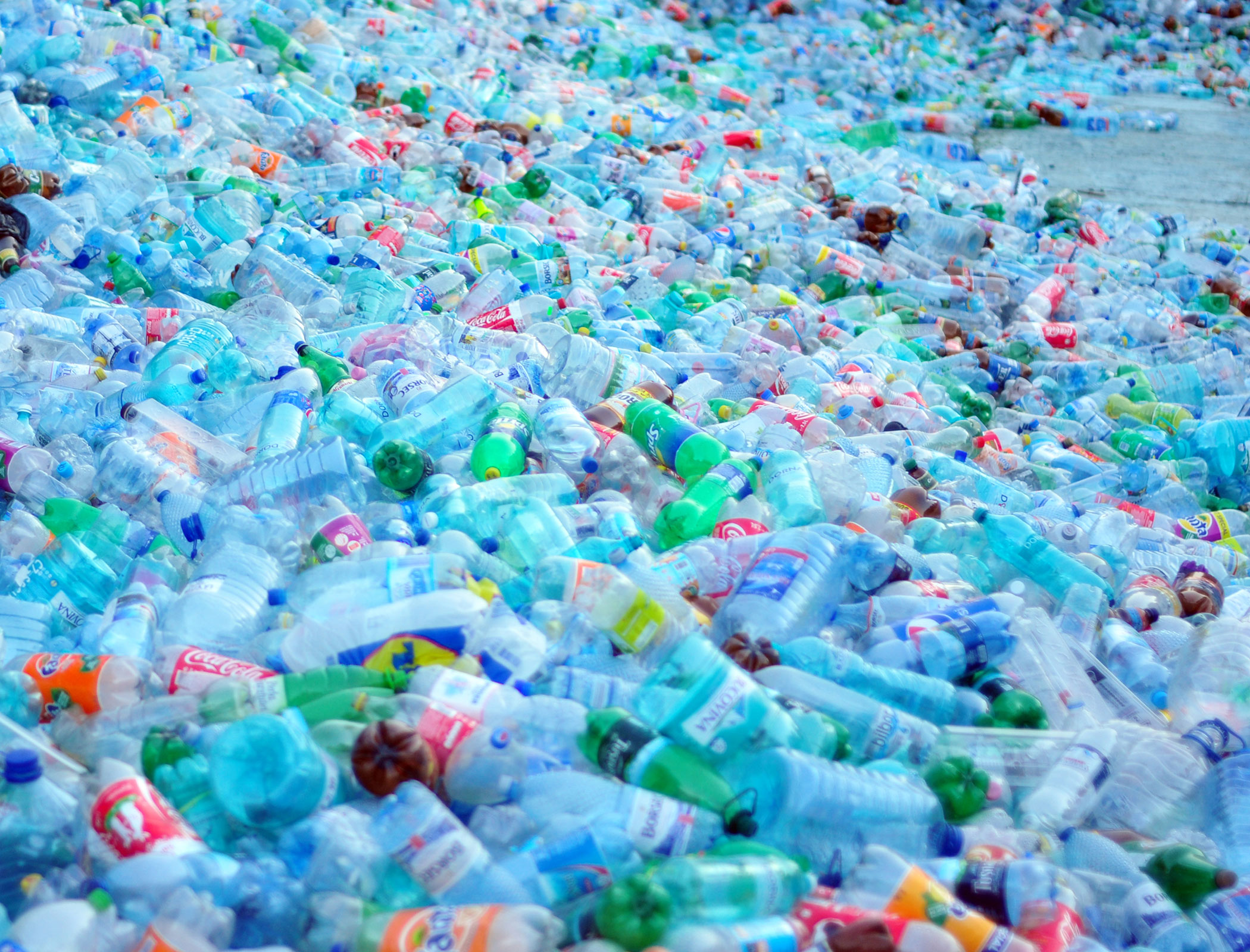 Machine-learning system sorts compostable from conventional plastic waste