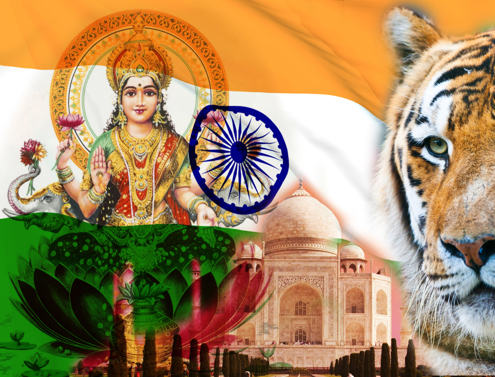 View from India: Institutionalise mindsets to innovate