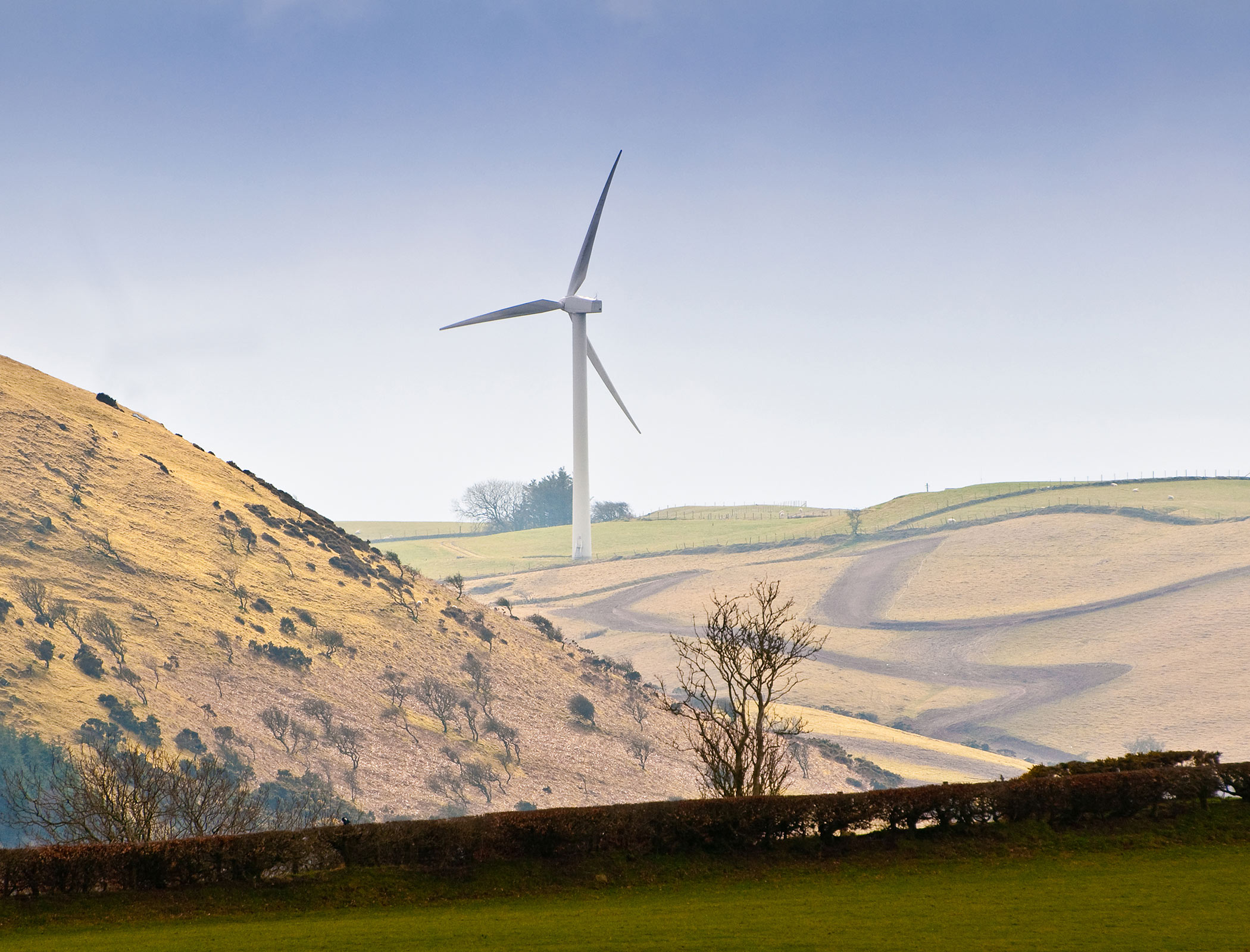 UK will miss 2035 electricity network decarbonisation target, MPs warn