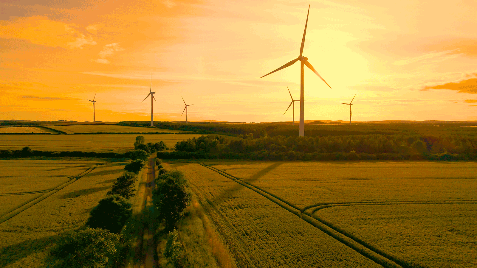 Green energy projects to be fast-tracked as part of overhaul to UK planning system