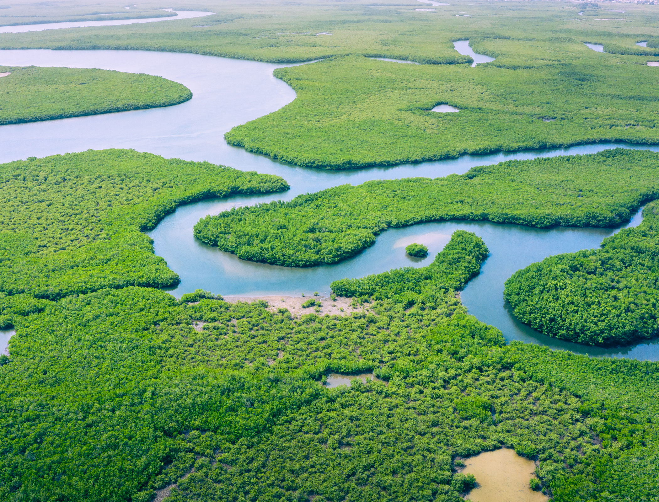 Brazil probes company that sold NFTs of Amazon rainforest land