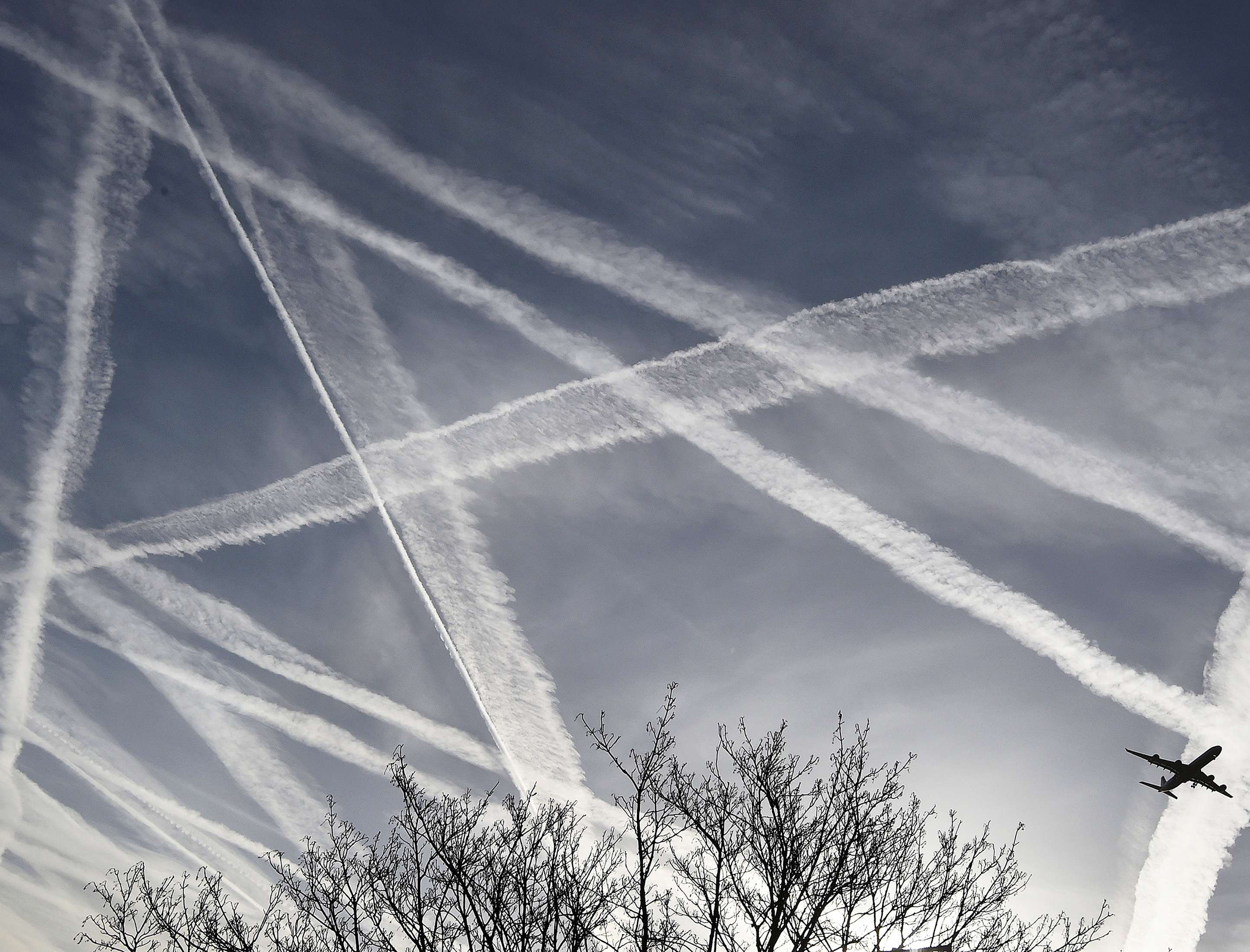 Sustainable air travel institution launched in bid to cut aviation emissions