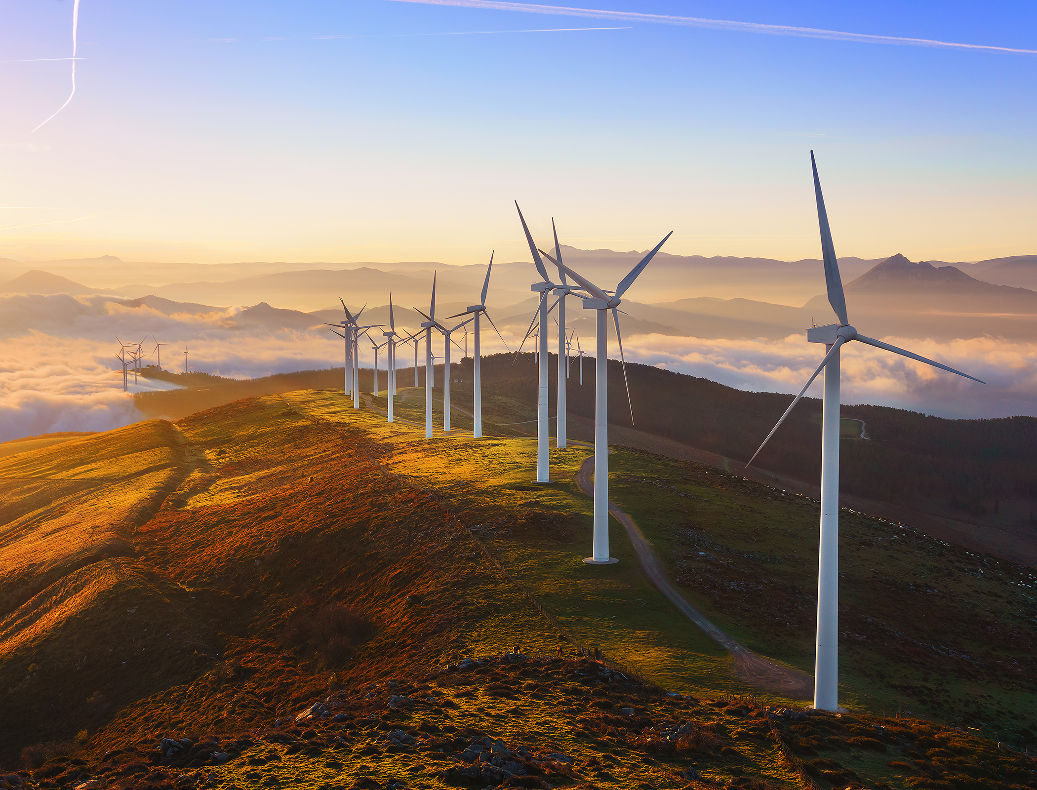UK risks missing out in renewables race, trade bodies warn