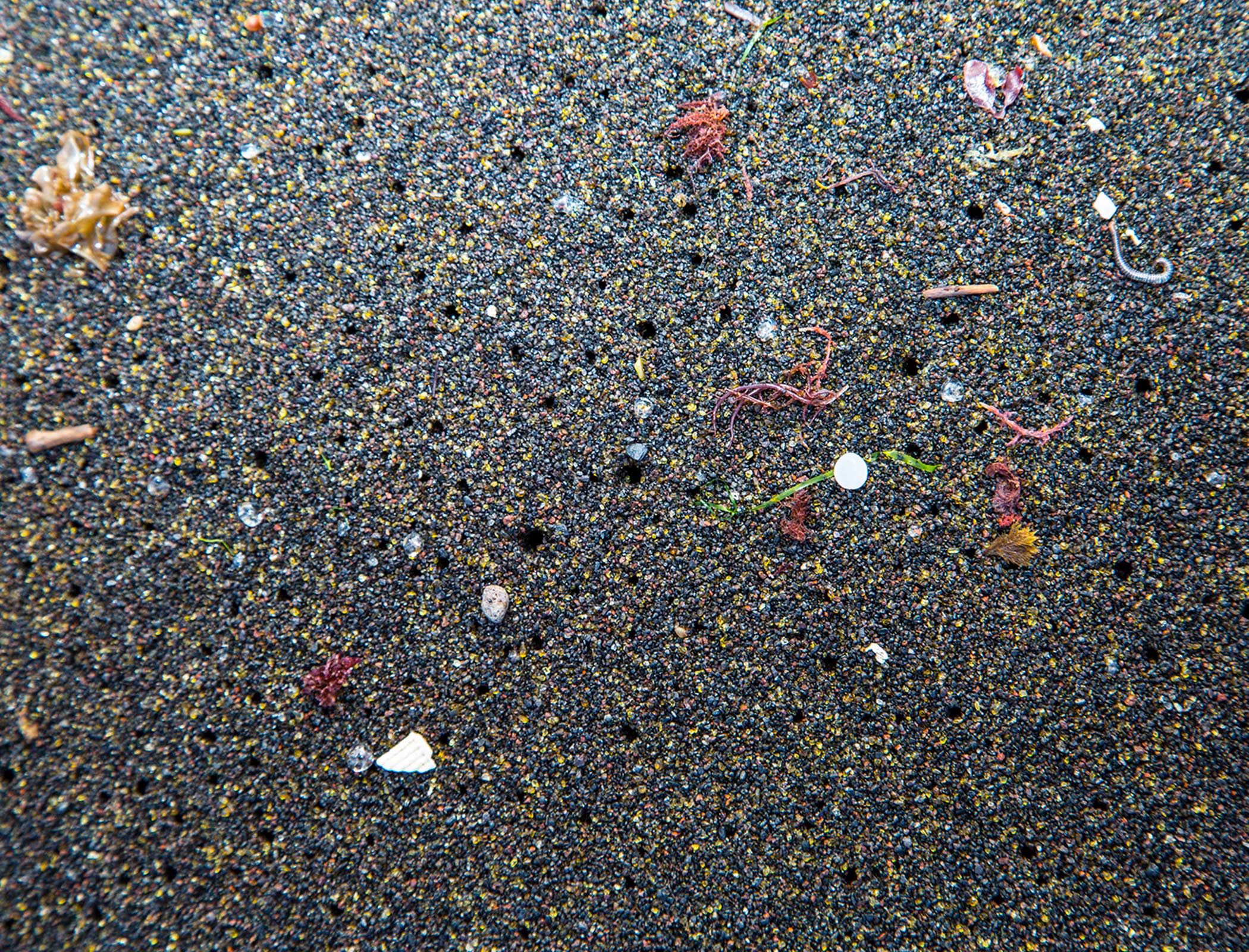 ‘Unprecedented’ rise in ocean plastics since 2005, study finds