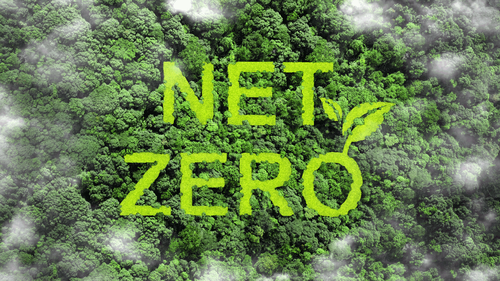Industry insight: Businesses urged to act now as net-zero guidance enters new era