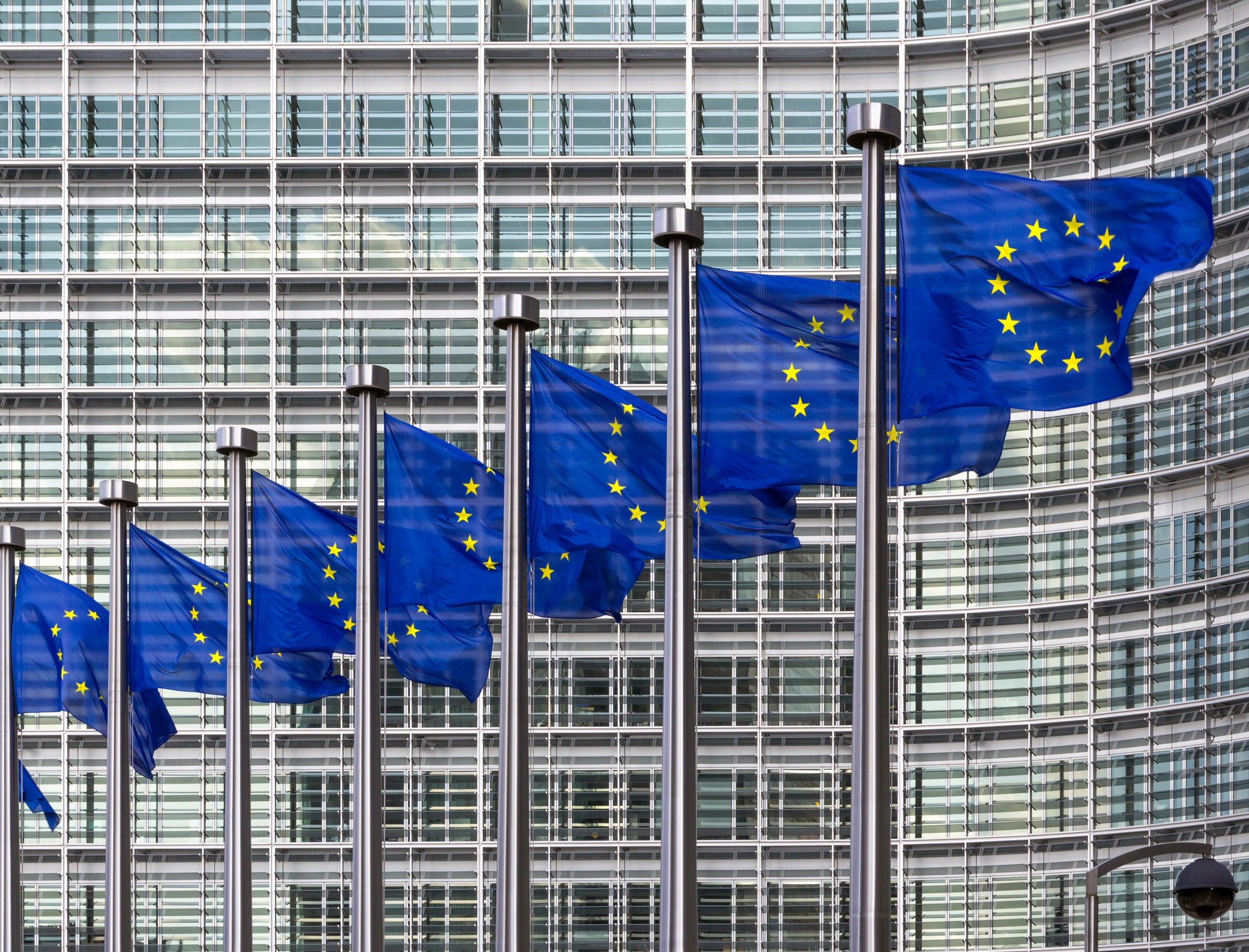 EU net neutrality ‘undermined’ by Big Tech’s money, activists warn
