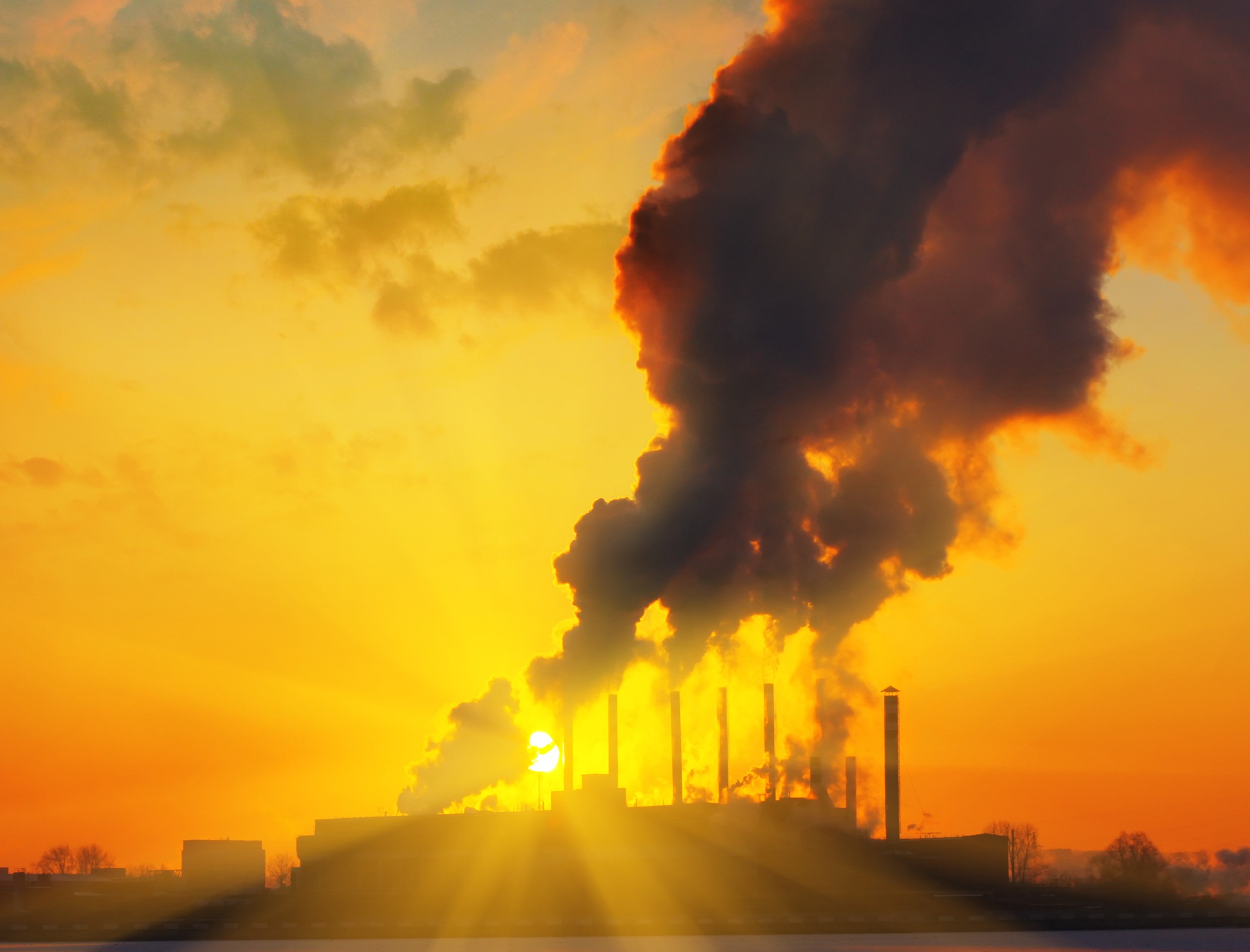 Cost of carbon offsets could double by 2030, report warns