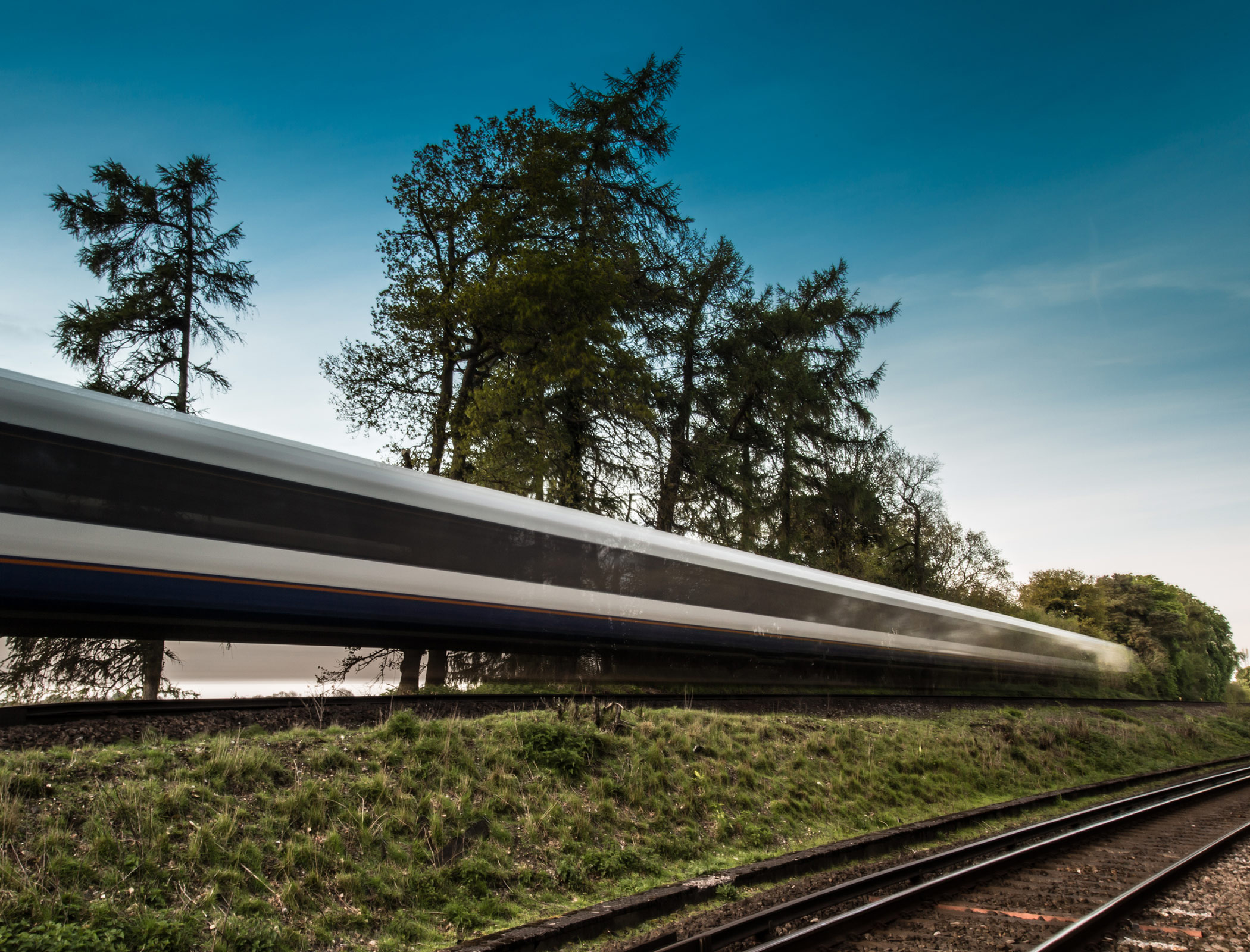 HS2 Ltd underestimating the project’s impact on biodiversity, report claims