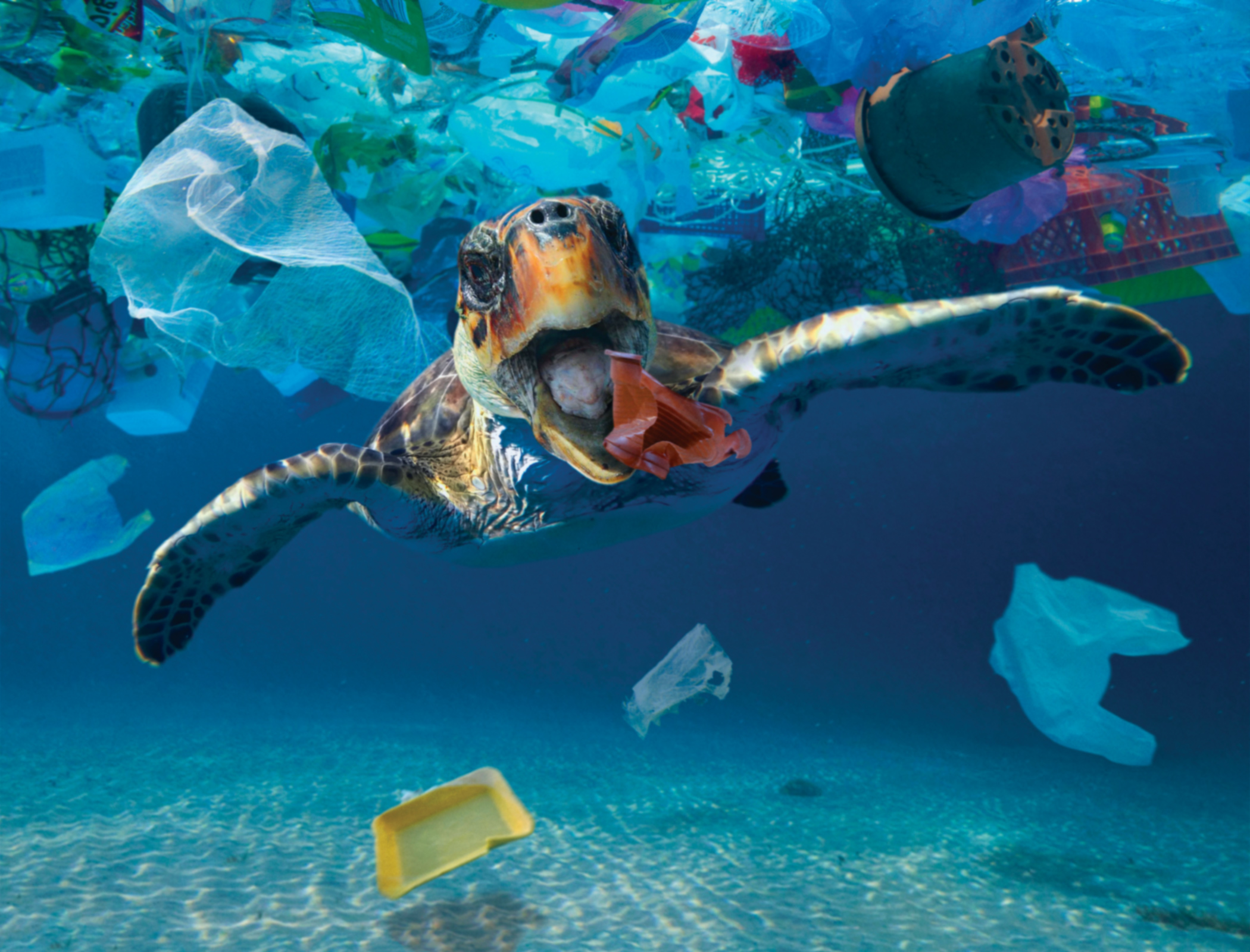 Global cap on plastic pollution required to tackle waste problem, scientists say