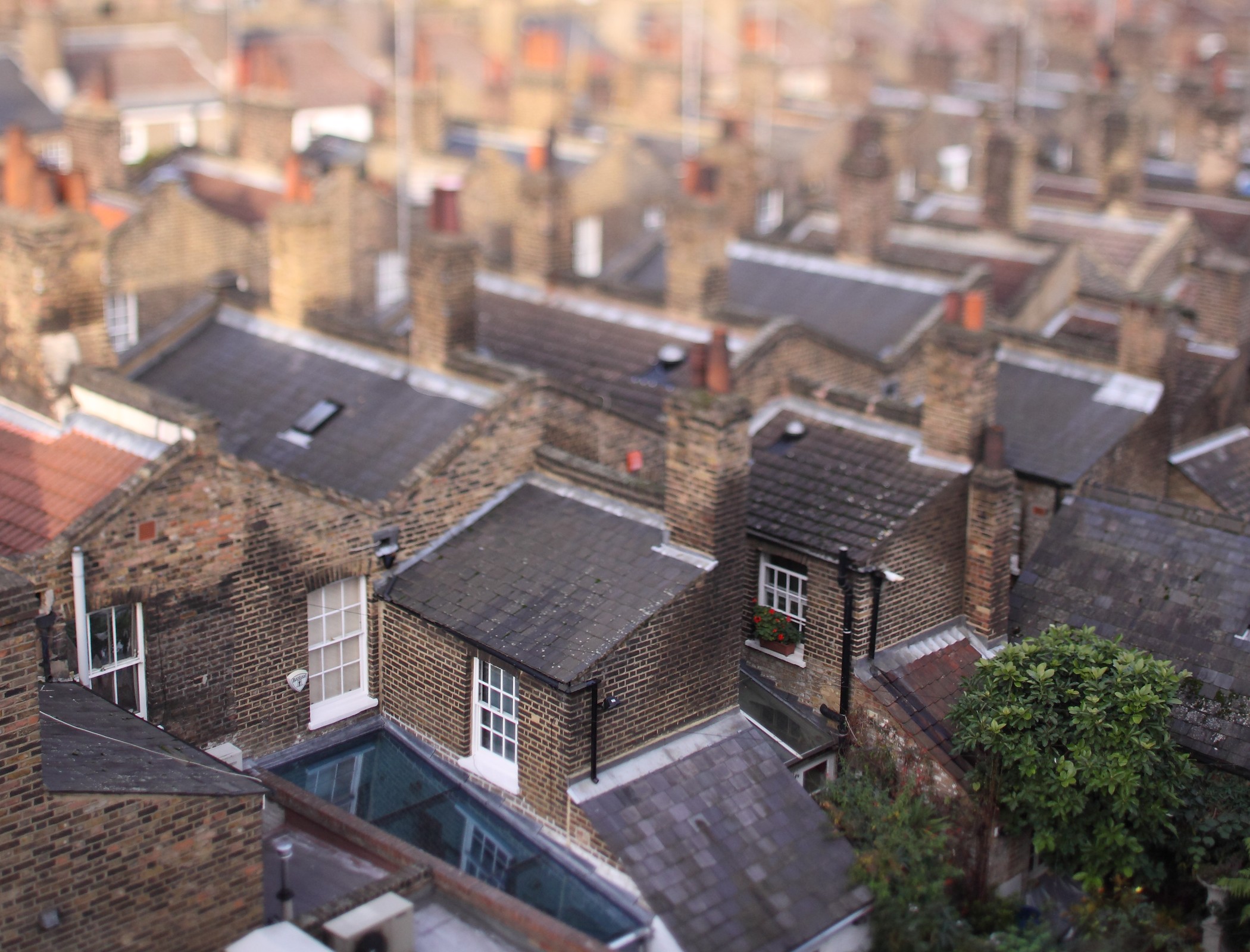 Government's energy efficiency schemes are ‘struggling’ to meet targets, councils warn