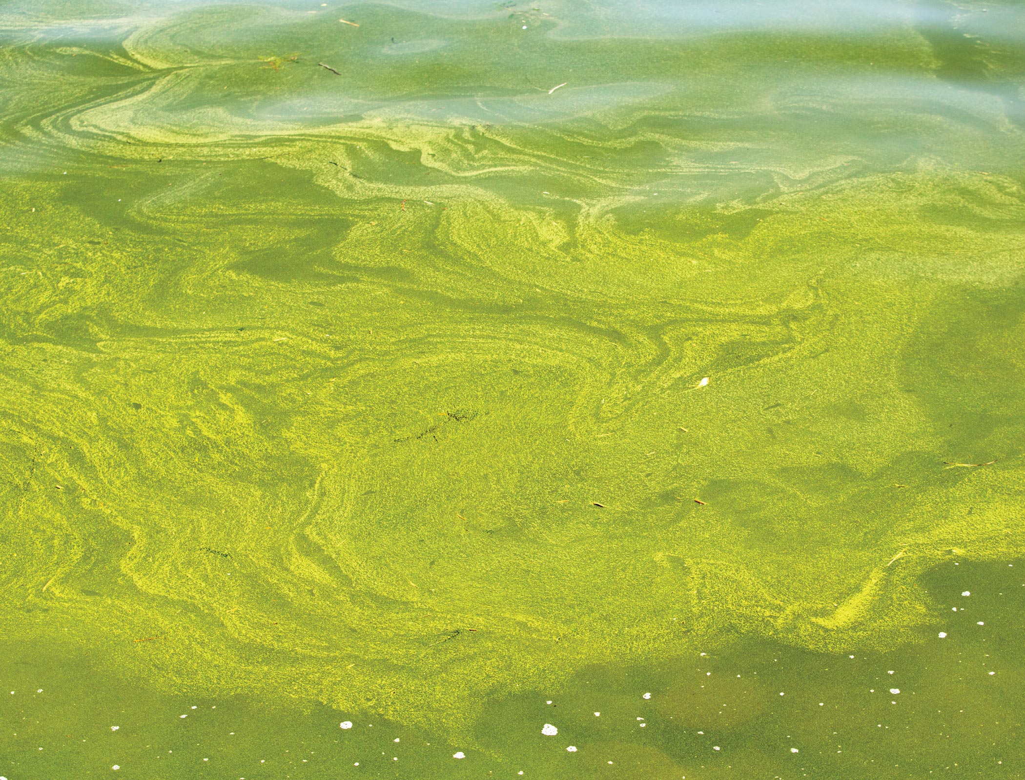 Tackling the ocean’s dead zones