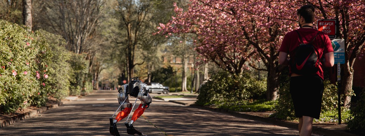 Machine-learning robot completes 5km run in record time