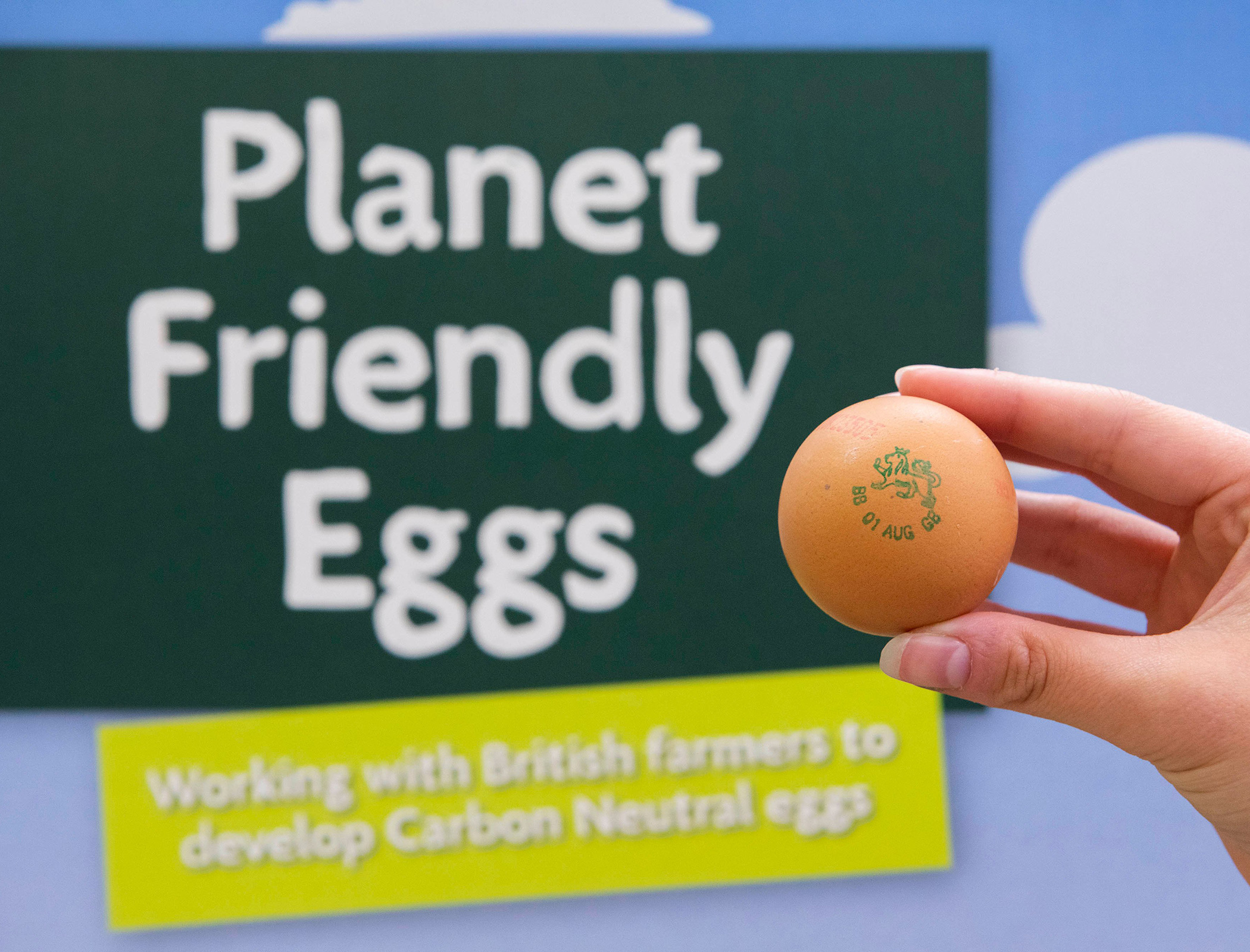 Morrisons launches carbon-neutral eggs laid by chickens fed on insects
