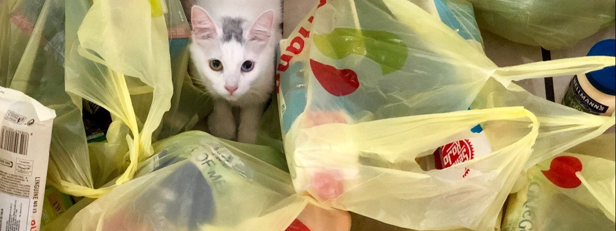 Single-use plastic bag sales down 95 per cent in UK
