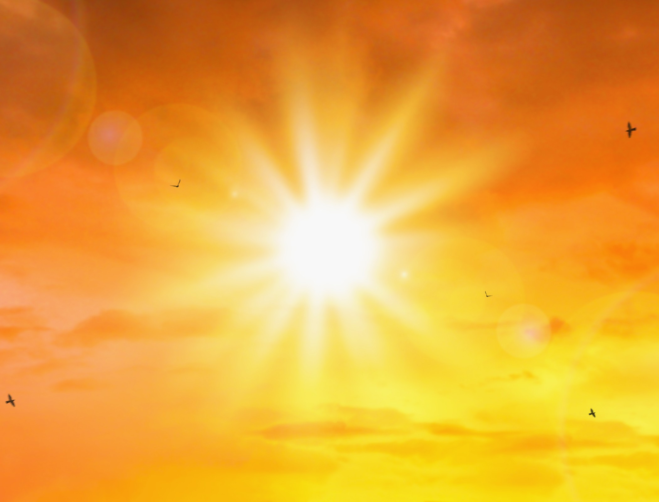 Industries disrupted as UK reaches record-breaking temperatures