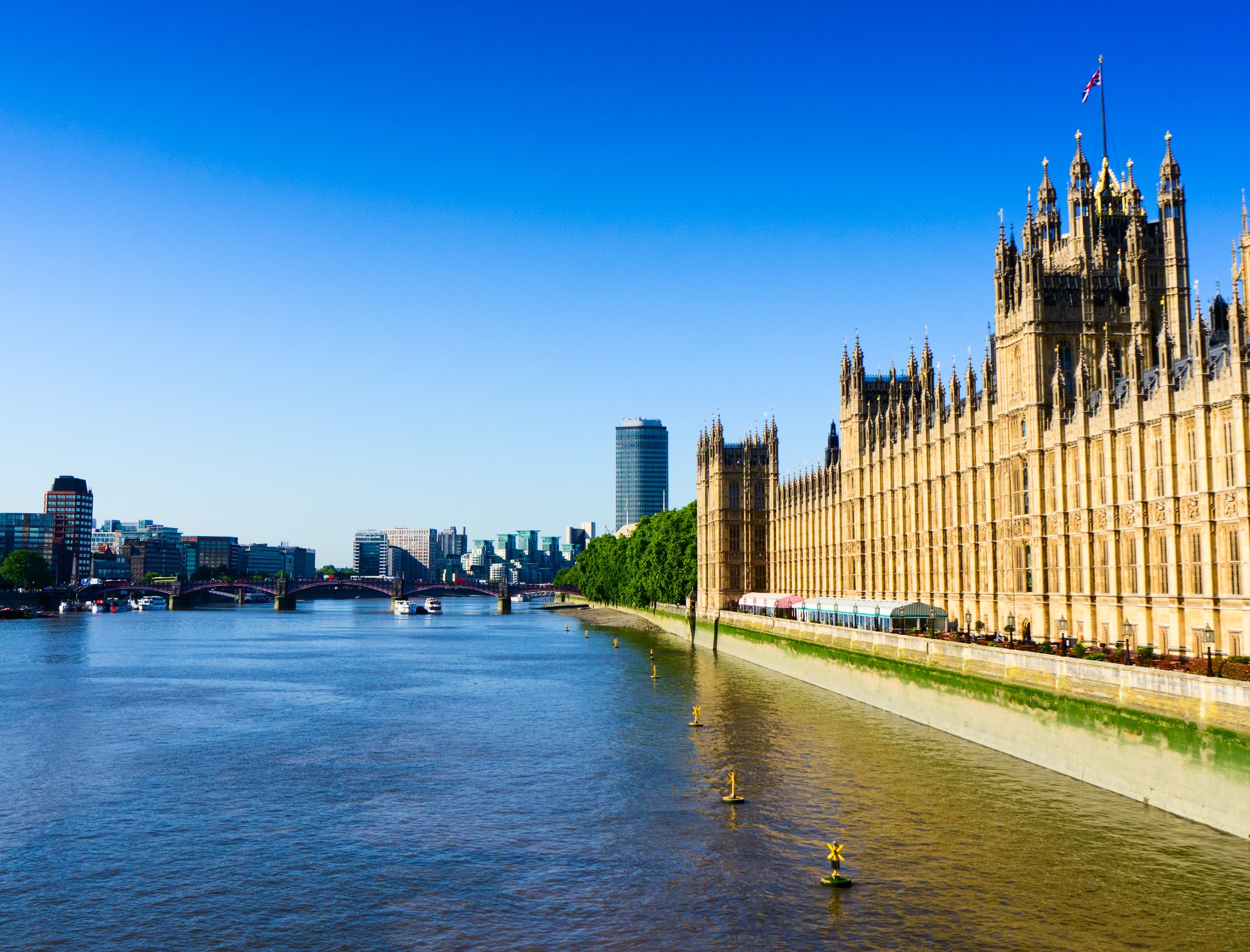 Over a million trees to be planted as part of River Thames road tunnel project