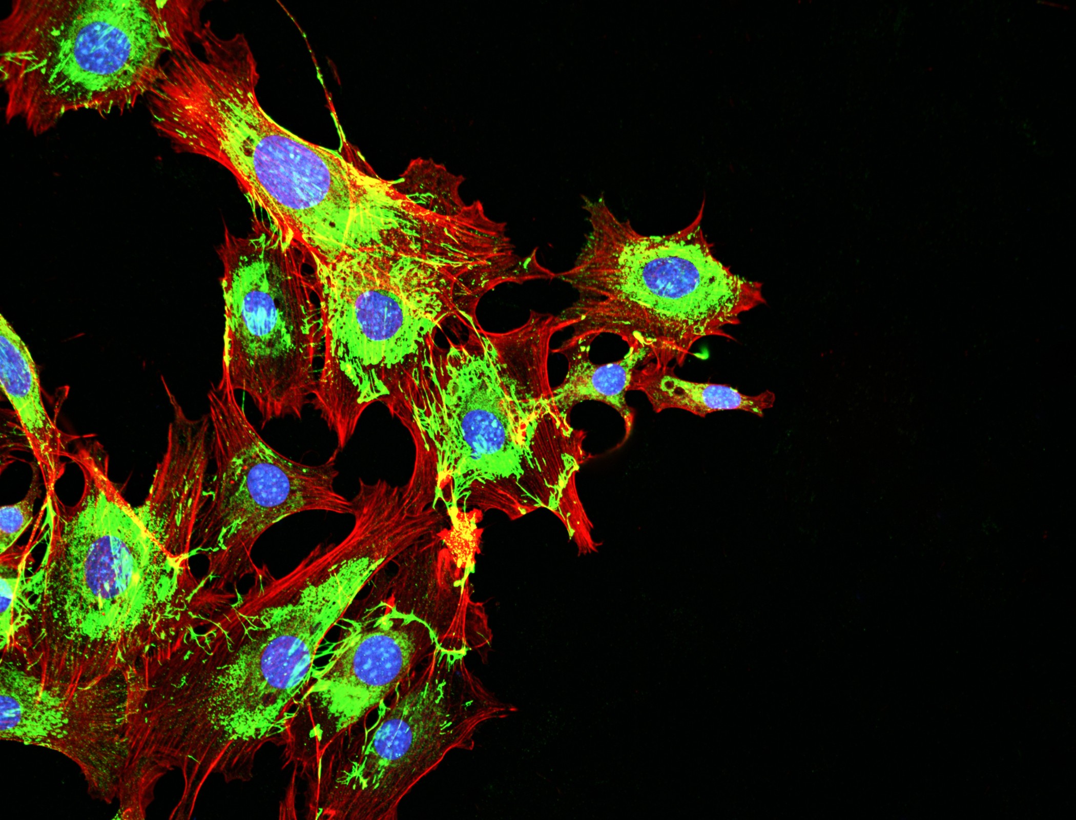 Handheld device could cut the rate of cancer biopsies in half