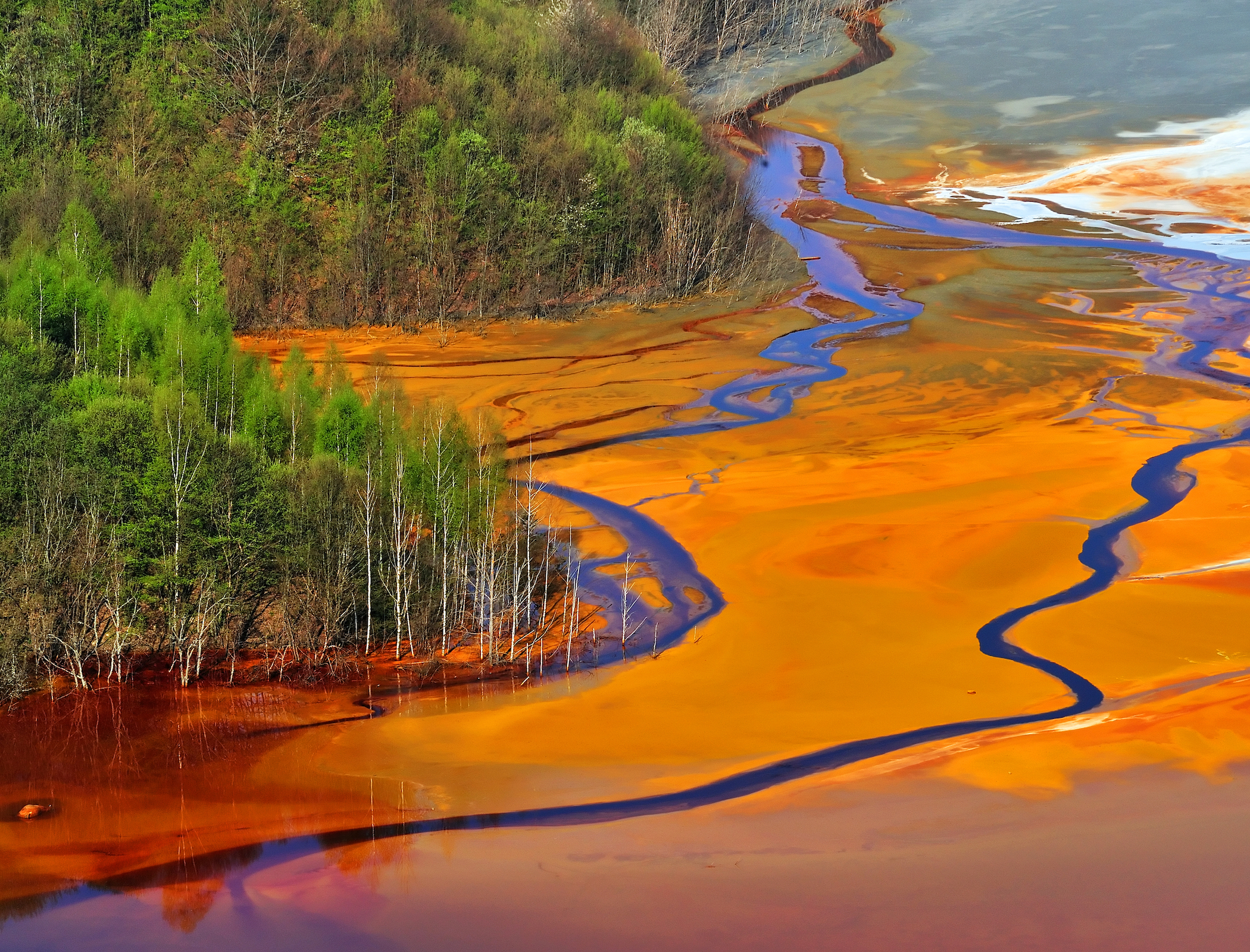 Polluting water company bosses should face prison, says Environment Agency