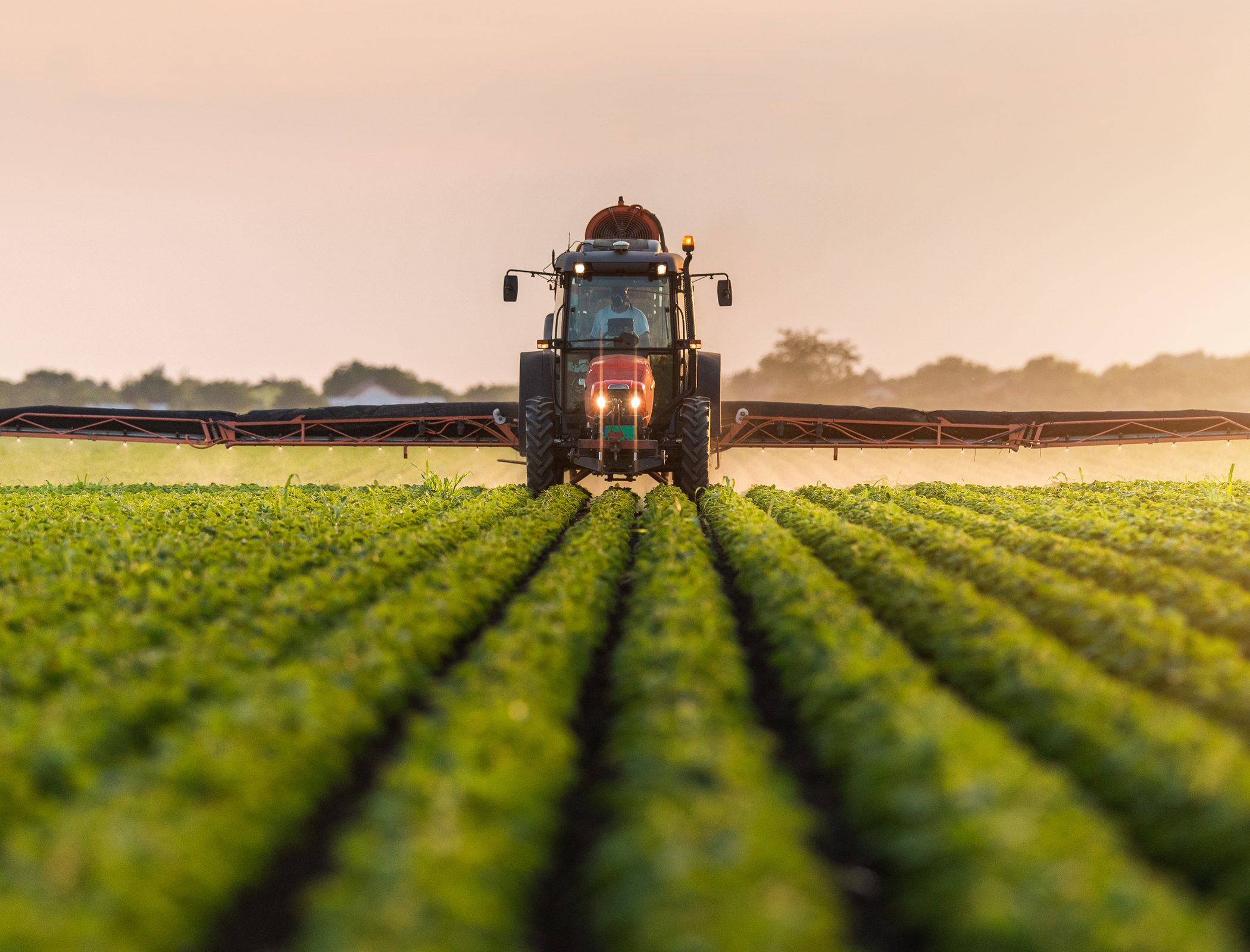 Agricultural sector at risk of cyber attacks, study warns