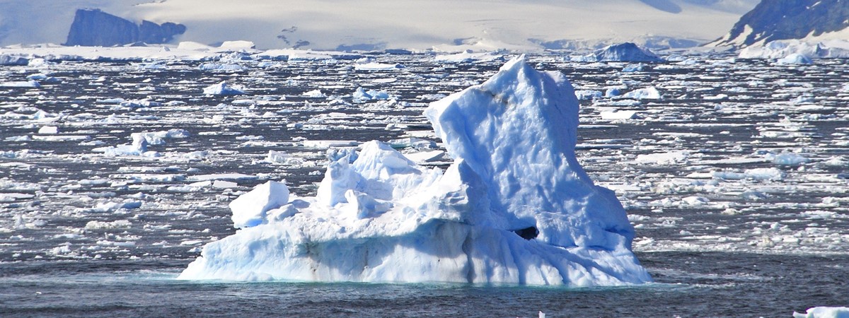 Climate change litigation increasing globally since 2015, report finds
