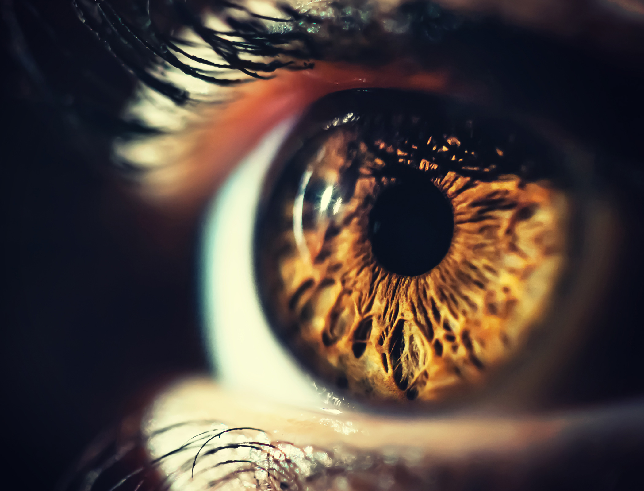 Pig’s skin used to make bioengineered cornea that cures blindness