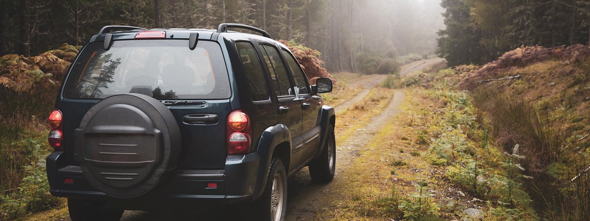 Climate experts call for ban on adverts for polluting SUVs