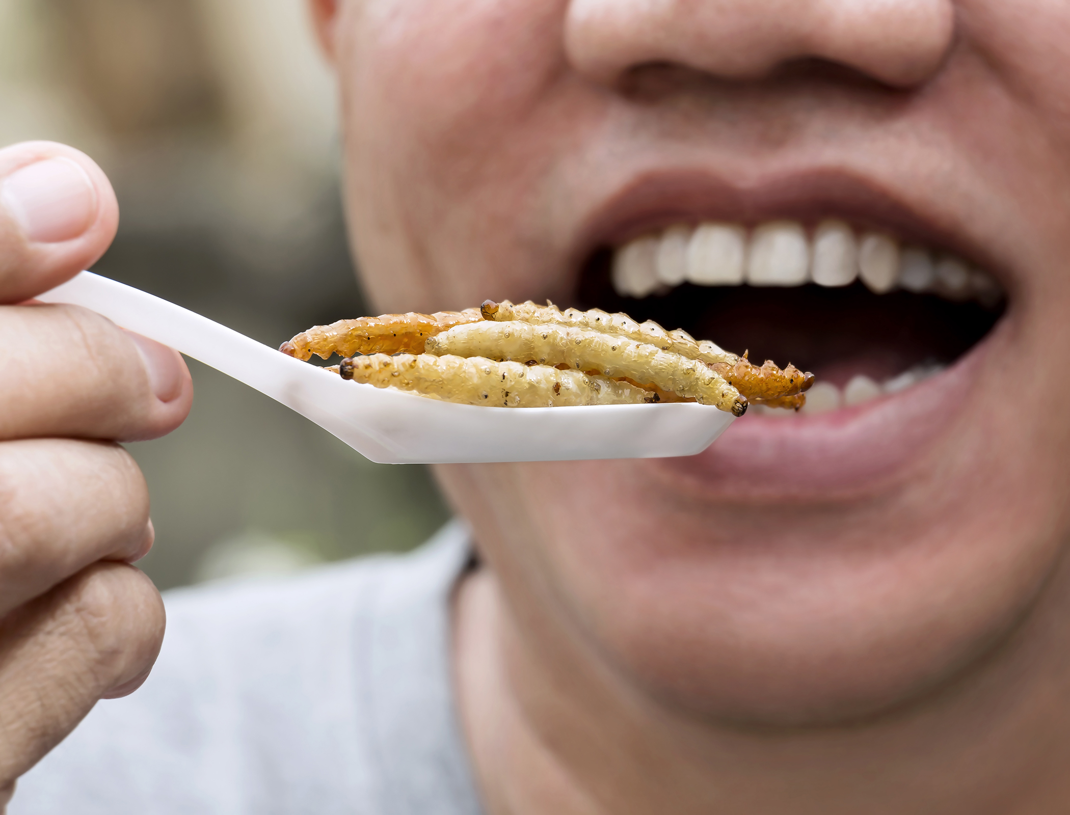 3D-printing method for food could make insect protein mainstream