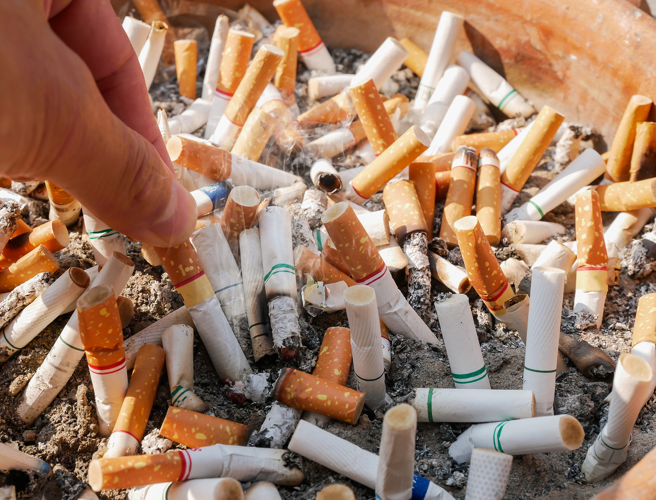 Littered cigarette filters shown to have toxic effect on aquatic life
