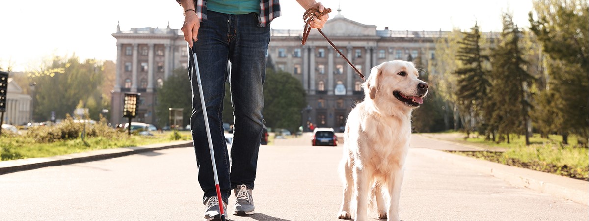 Wearable computer vision aid helps blind people avoid collisions