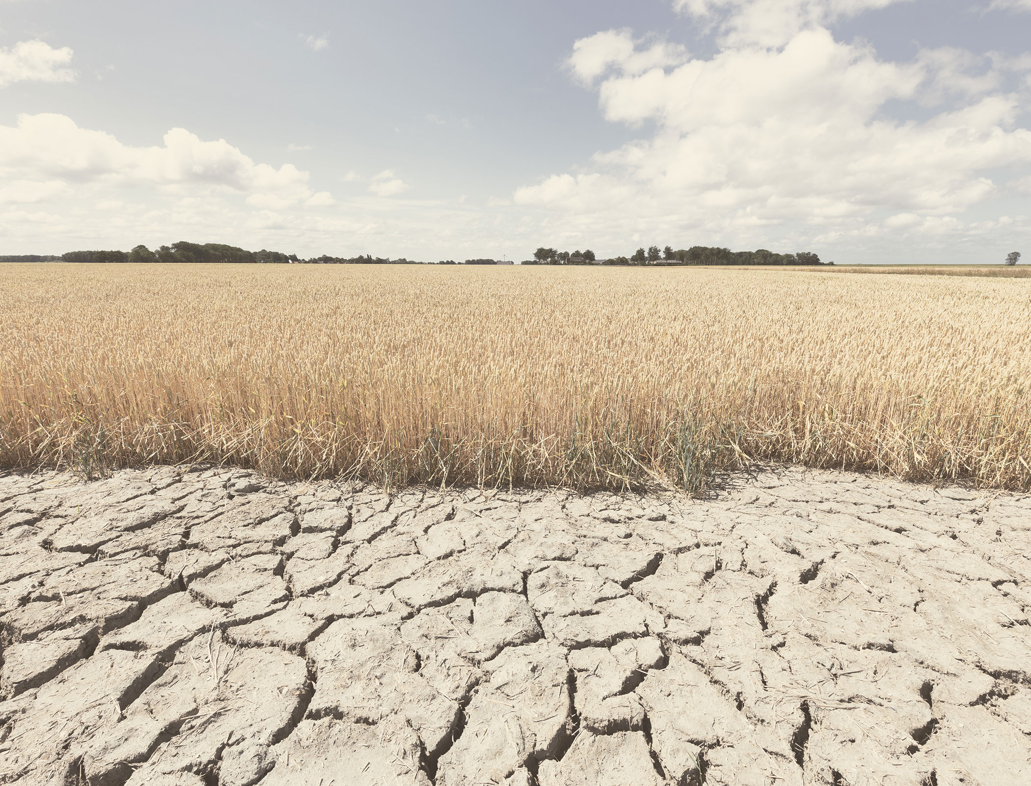 High Court net zero ruling shows government numbers ‘don’t stack up’, Labour says