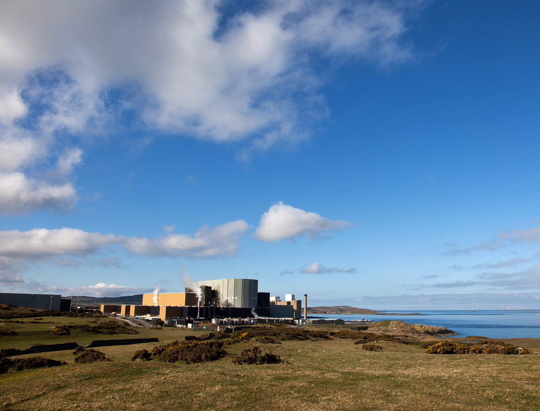 MPs call on government to accelerate Welsh nuclear plant project