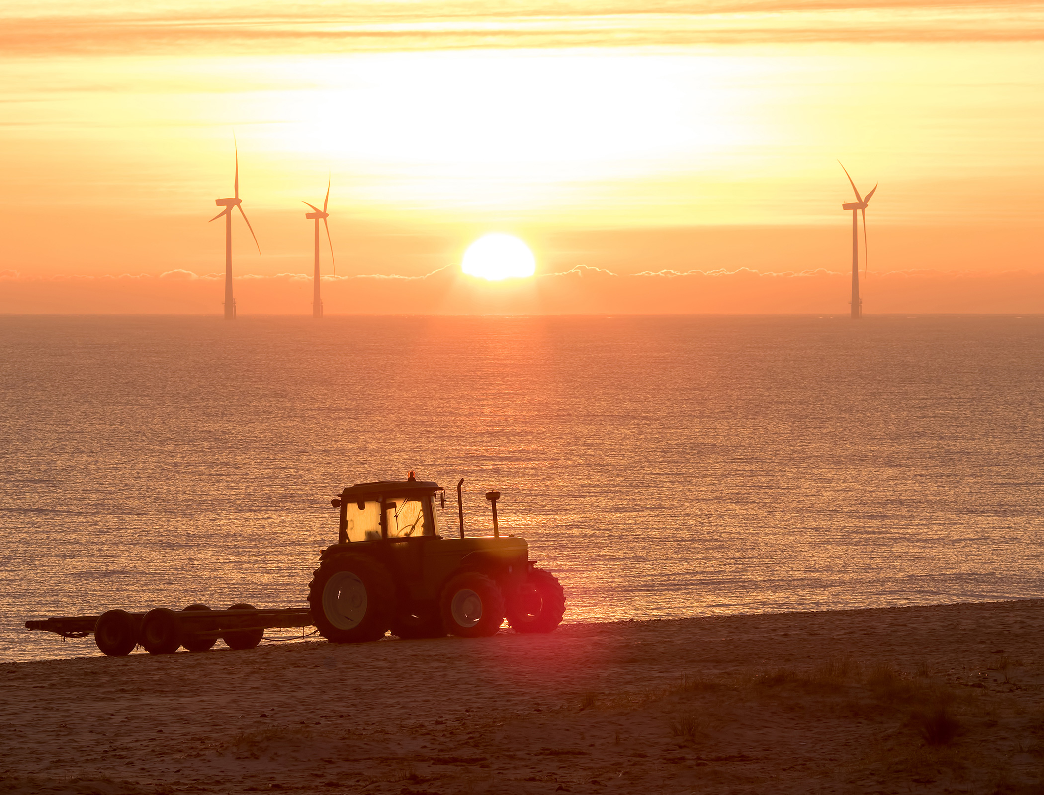 World’s largest companies lack ‘credibility’ in their net zero plans