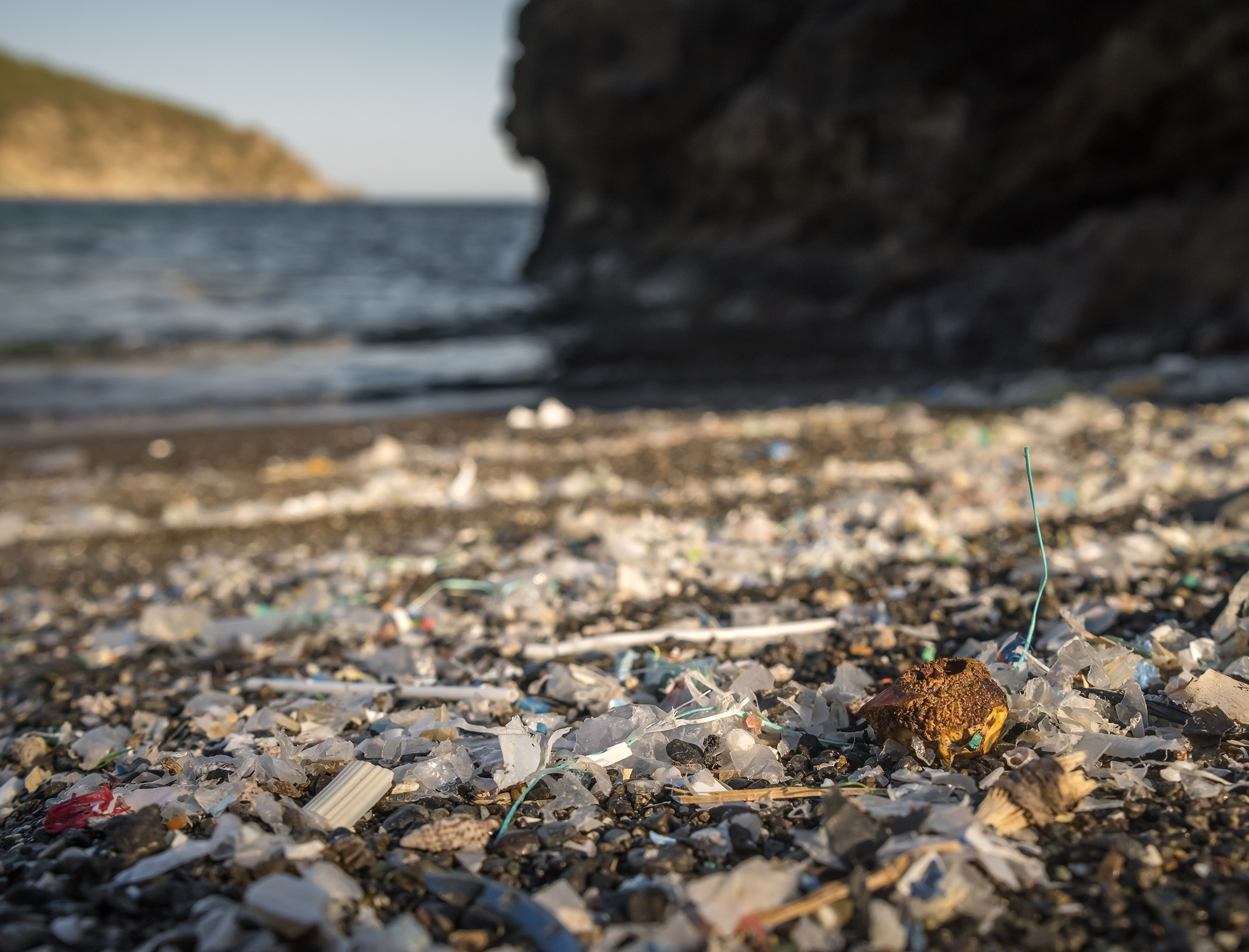 British coastal waters feature 100 times more microplastics than six years ago