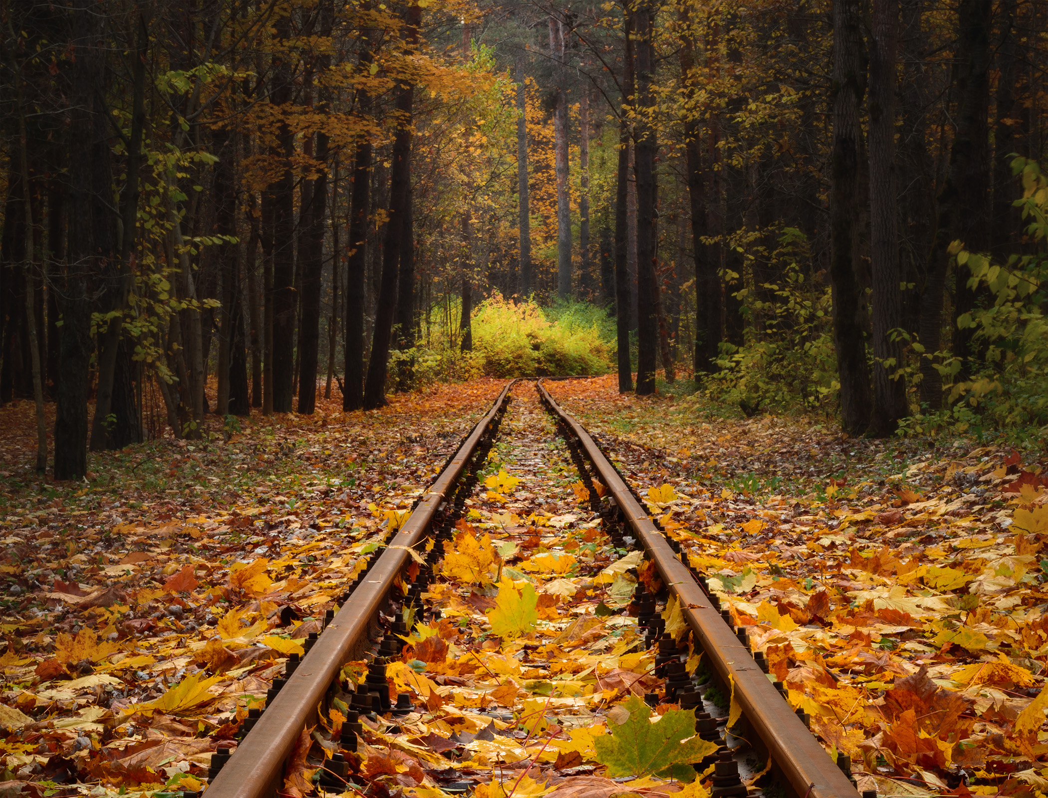 Track cleaning system could eliminate delays caused by ‘leaves on the line’